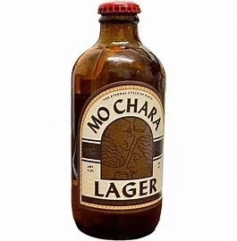 Mo's Chara.jpg