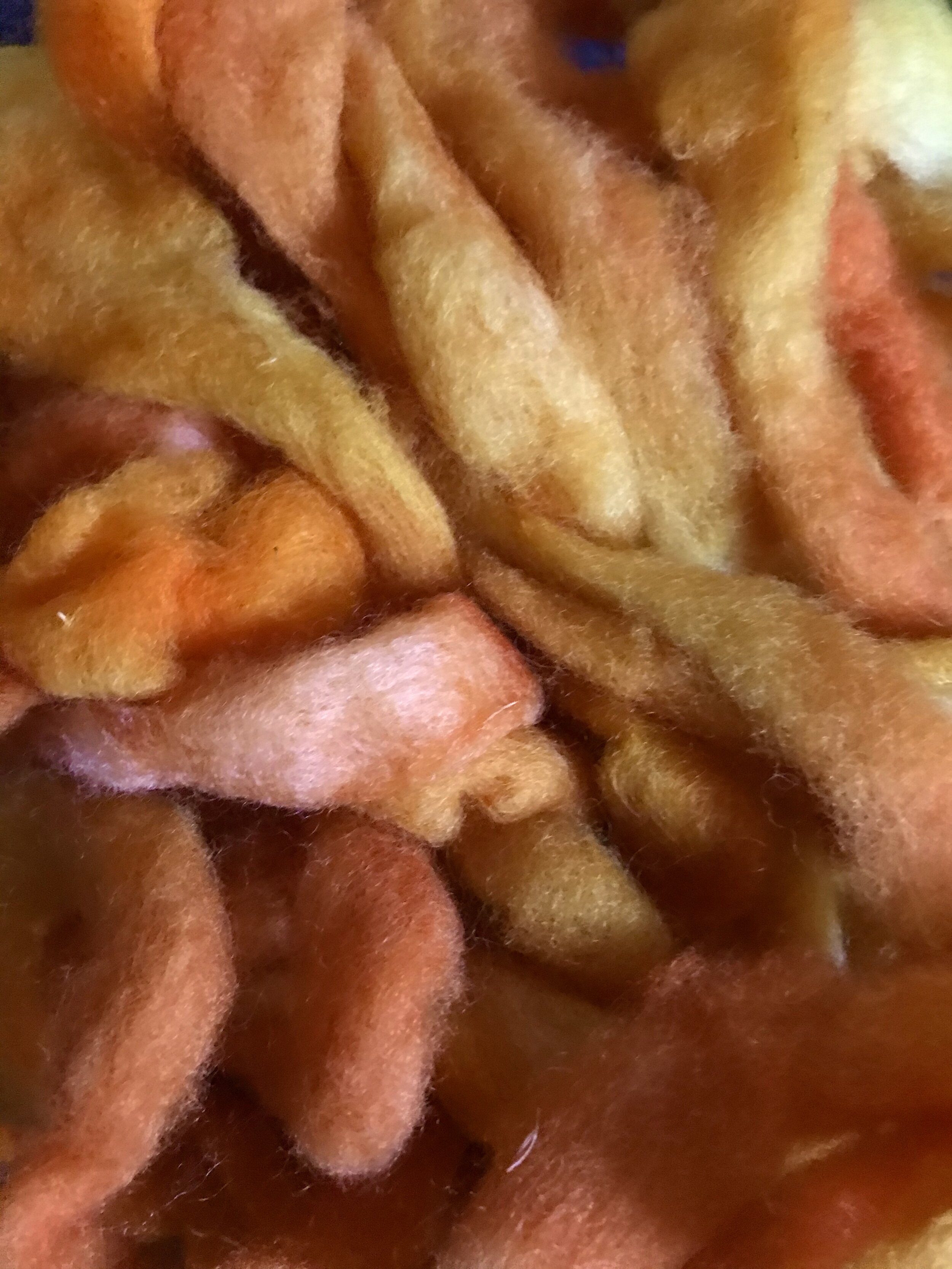 Hand Dyed Finn Roving