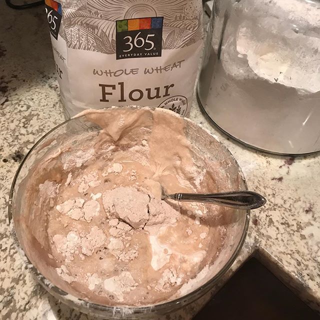 Day #3 of feeding my sourdough starter. I&rsquo;m not seeing it rise and fall yet during the day so I&rsquo;ll keep up this routine. My guess based on past experience is that I&rsquo;ll start to see the rise and fall between days 5 and 7. #thewaitcon