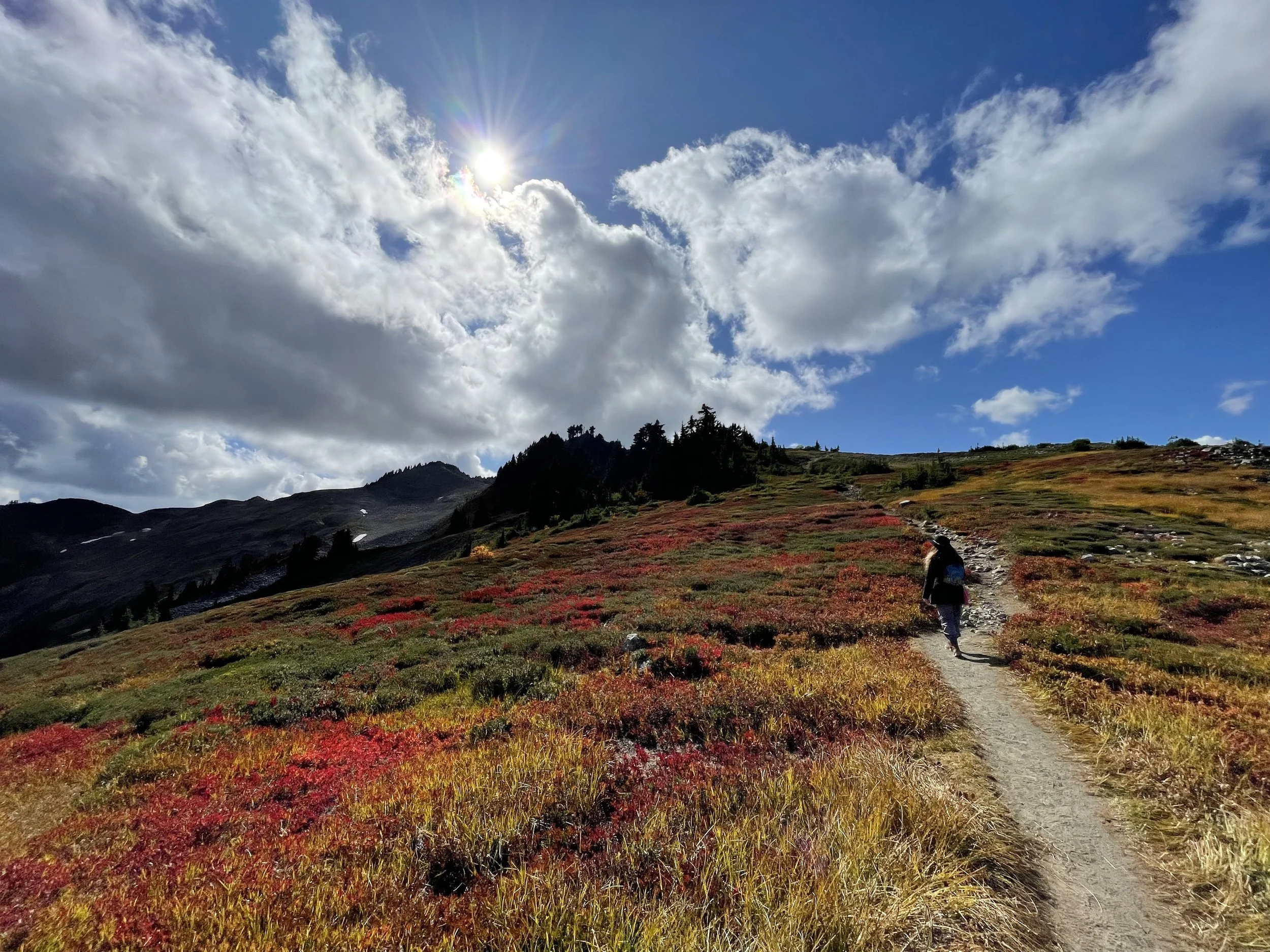   Ptarmigan Ridge &amp; Mt. Baker hike, 2023  