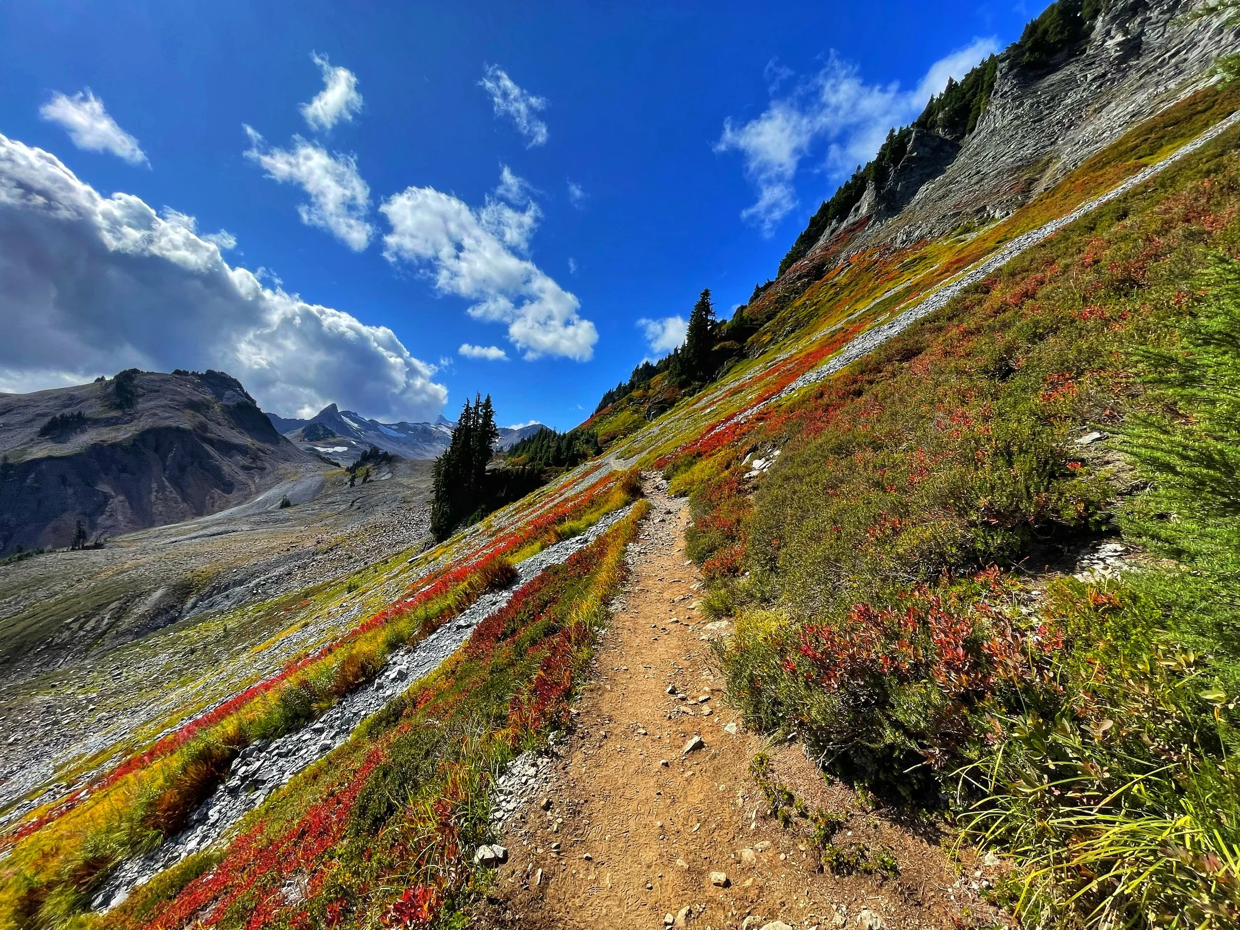   Ptarmigan Ridge &amp; Mt. Baker hike, 2023  