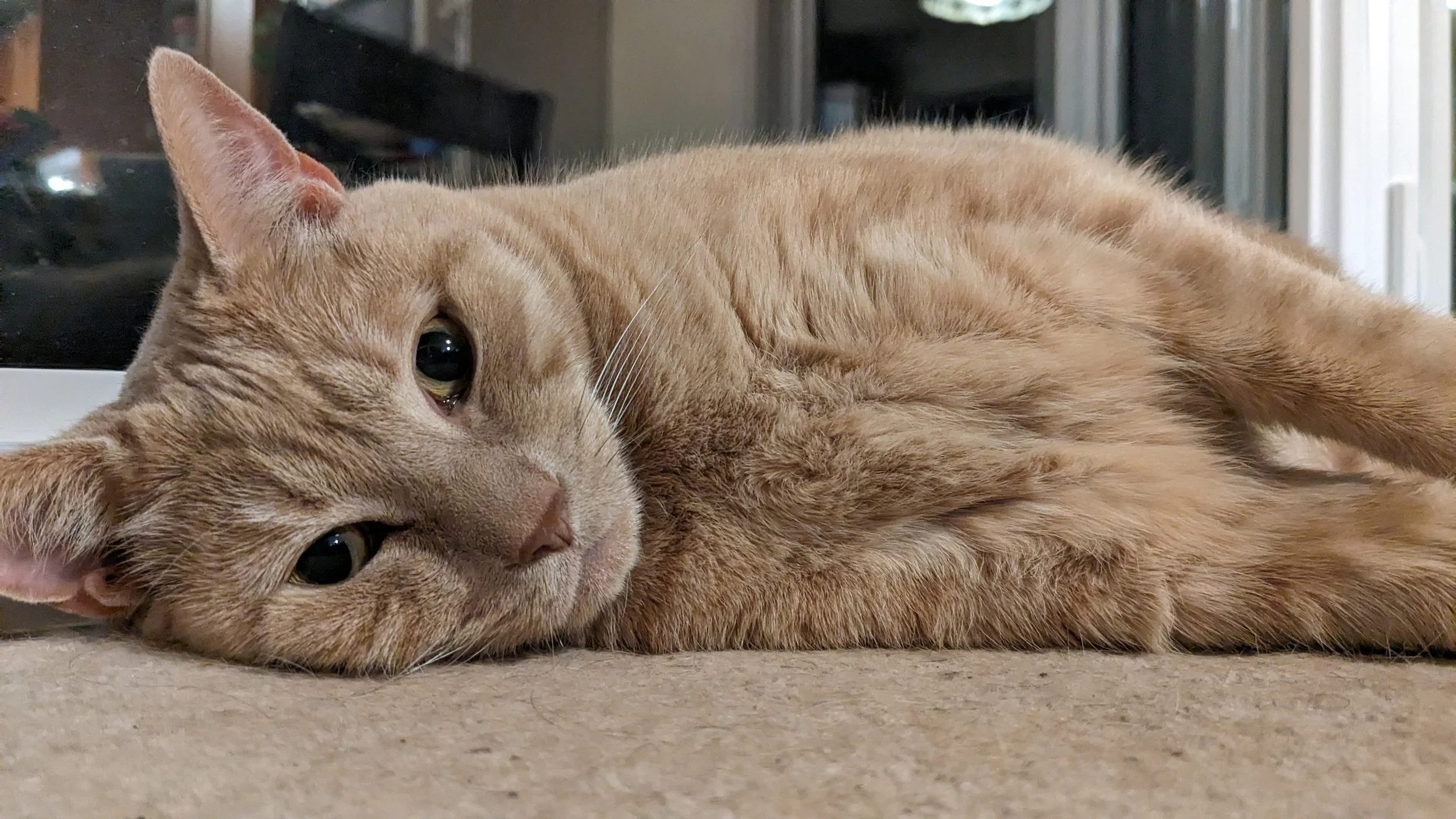   Ottawa, 2025    Photographer: Sarah C. Sutherland  