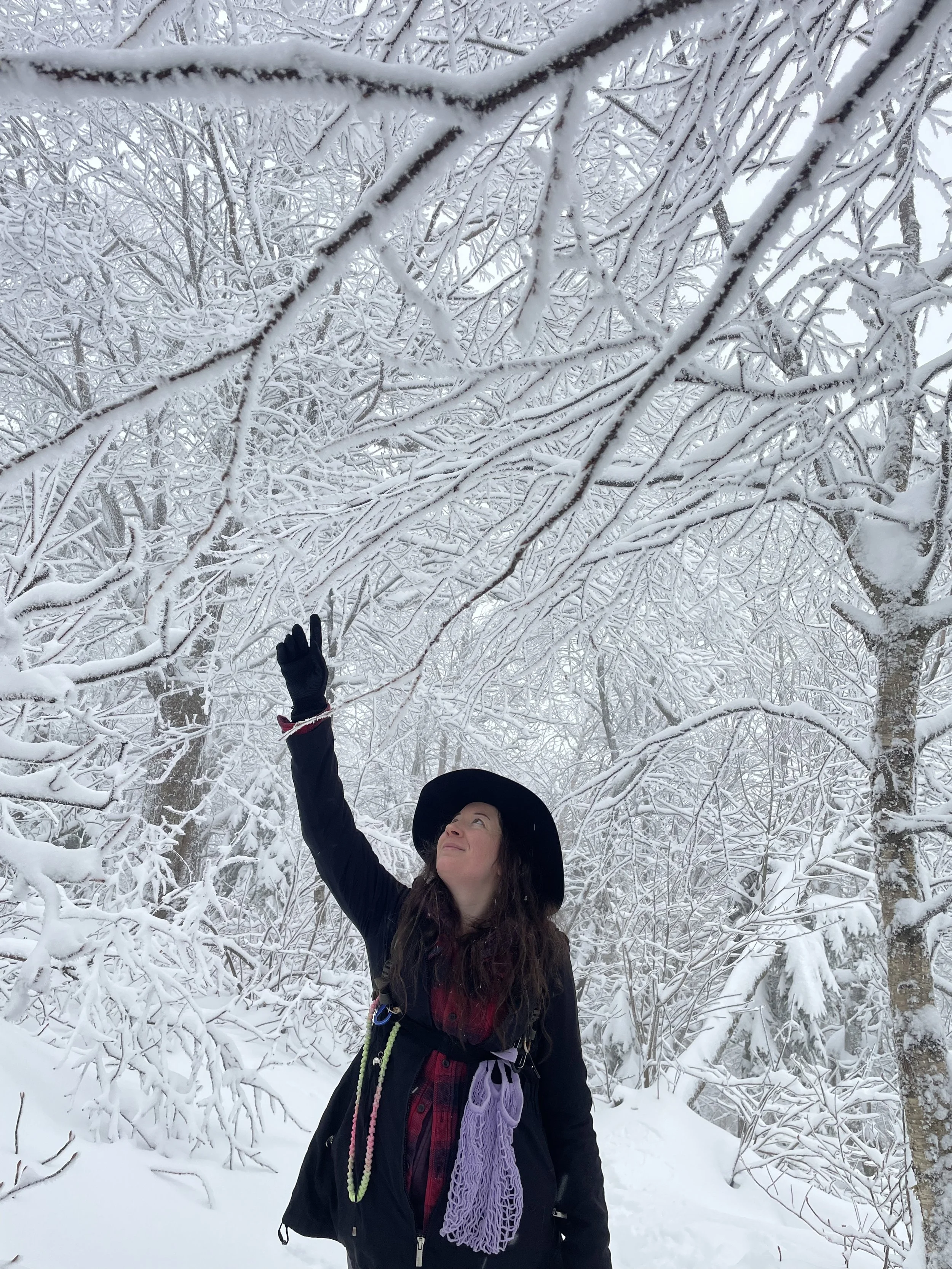   Parc d'Environnement Naturel de Sutton, 2025  