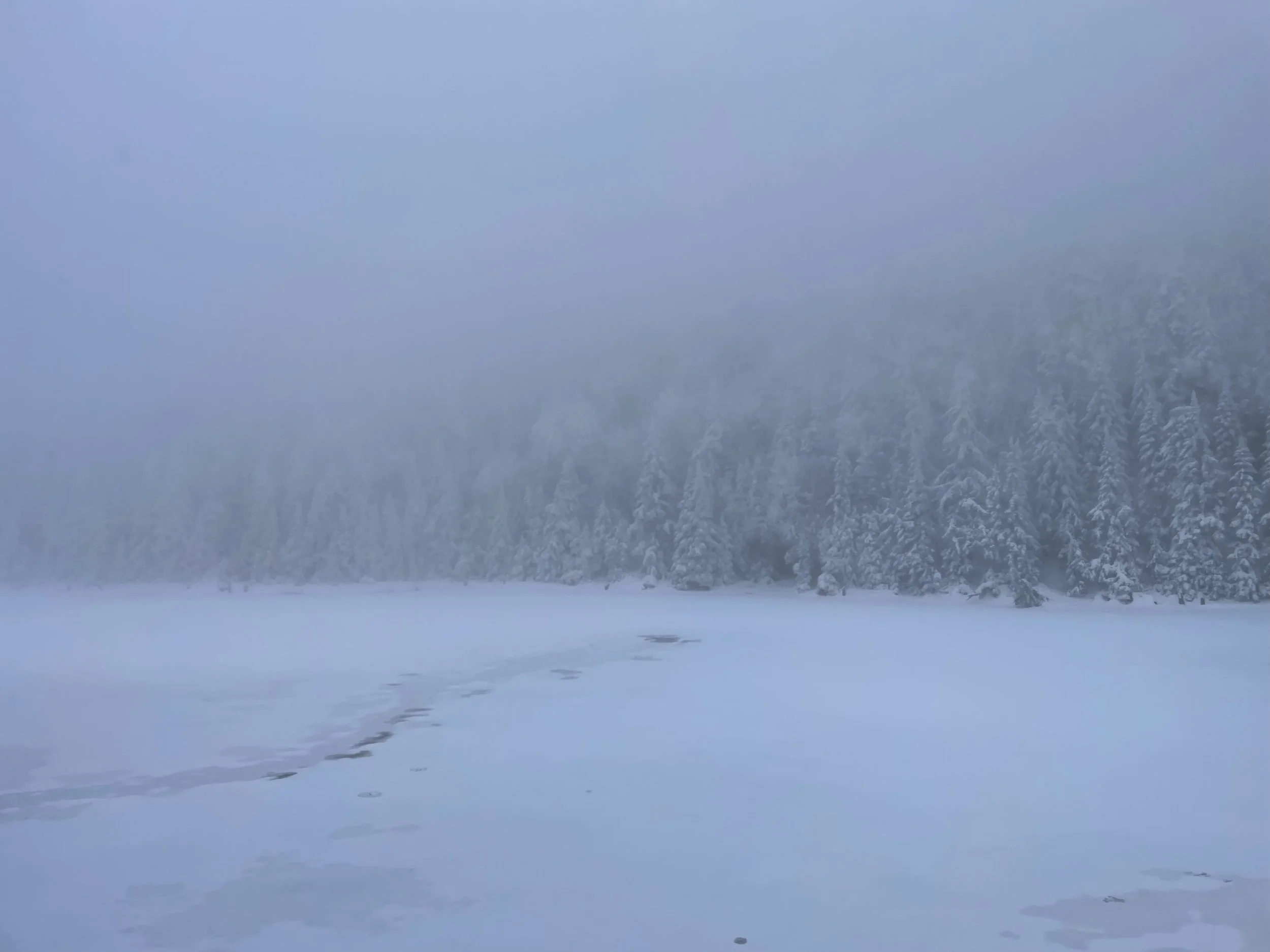   Parc d'Environnement Naturel de Sutton, 2025  