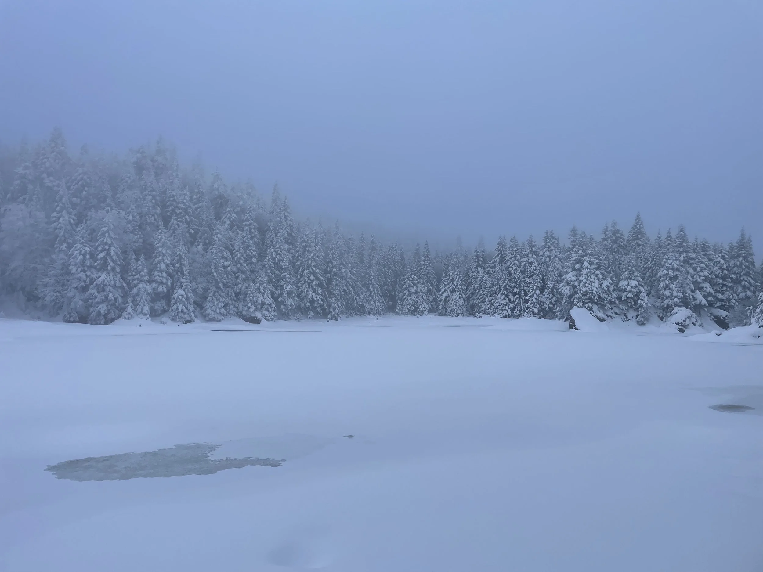   Parc d'Environnement Naturel de Sutton, 2025  