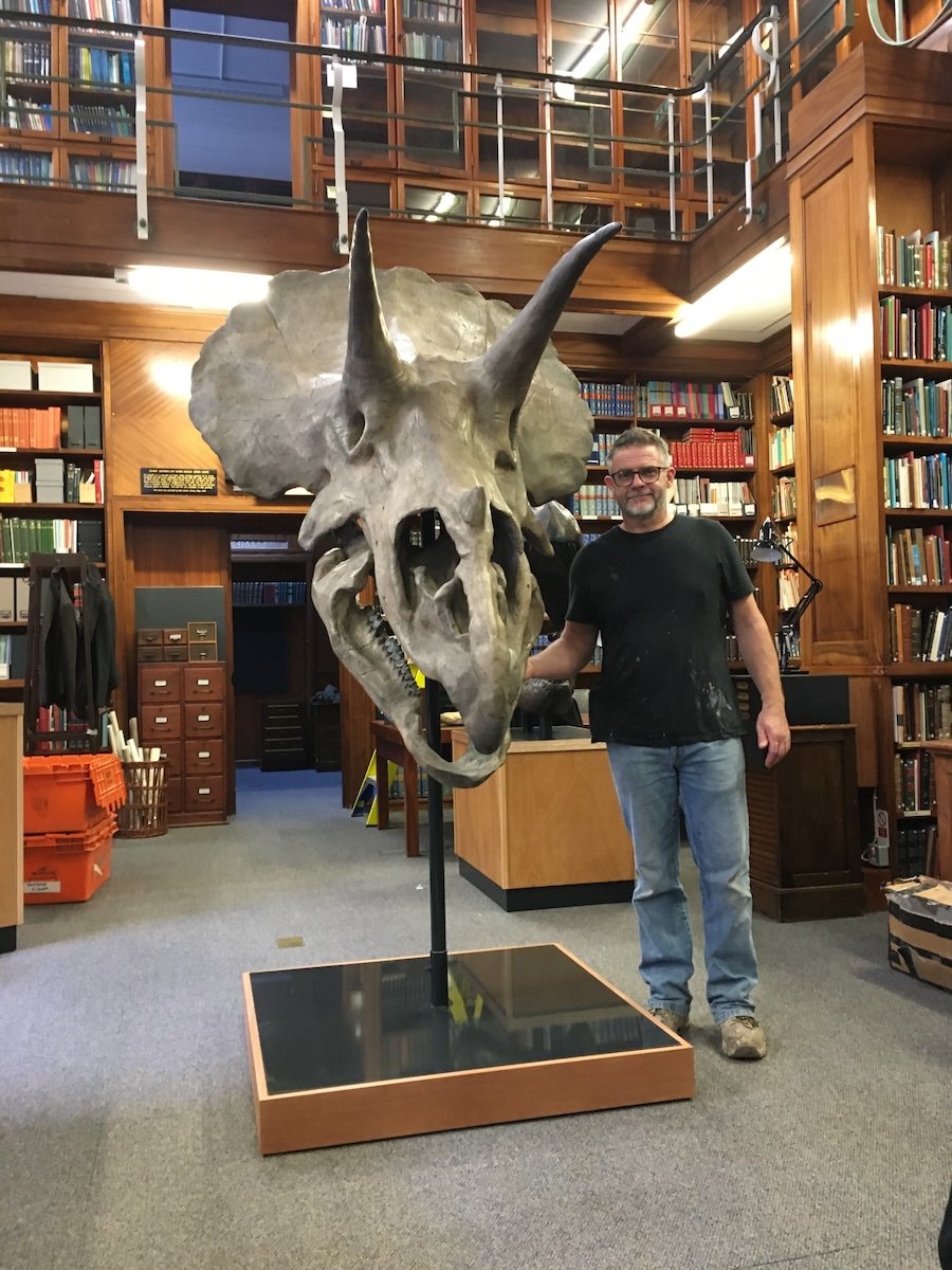Matthew Healey on location at the Natural History Museum Libraary with the Triceratops Skull fossil he created.jpeg