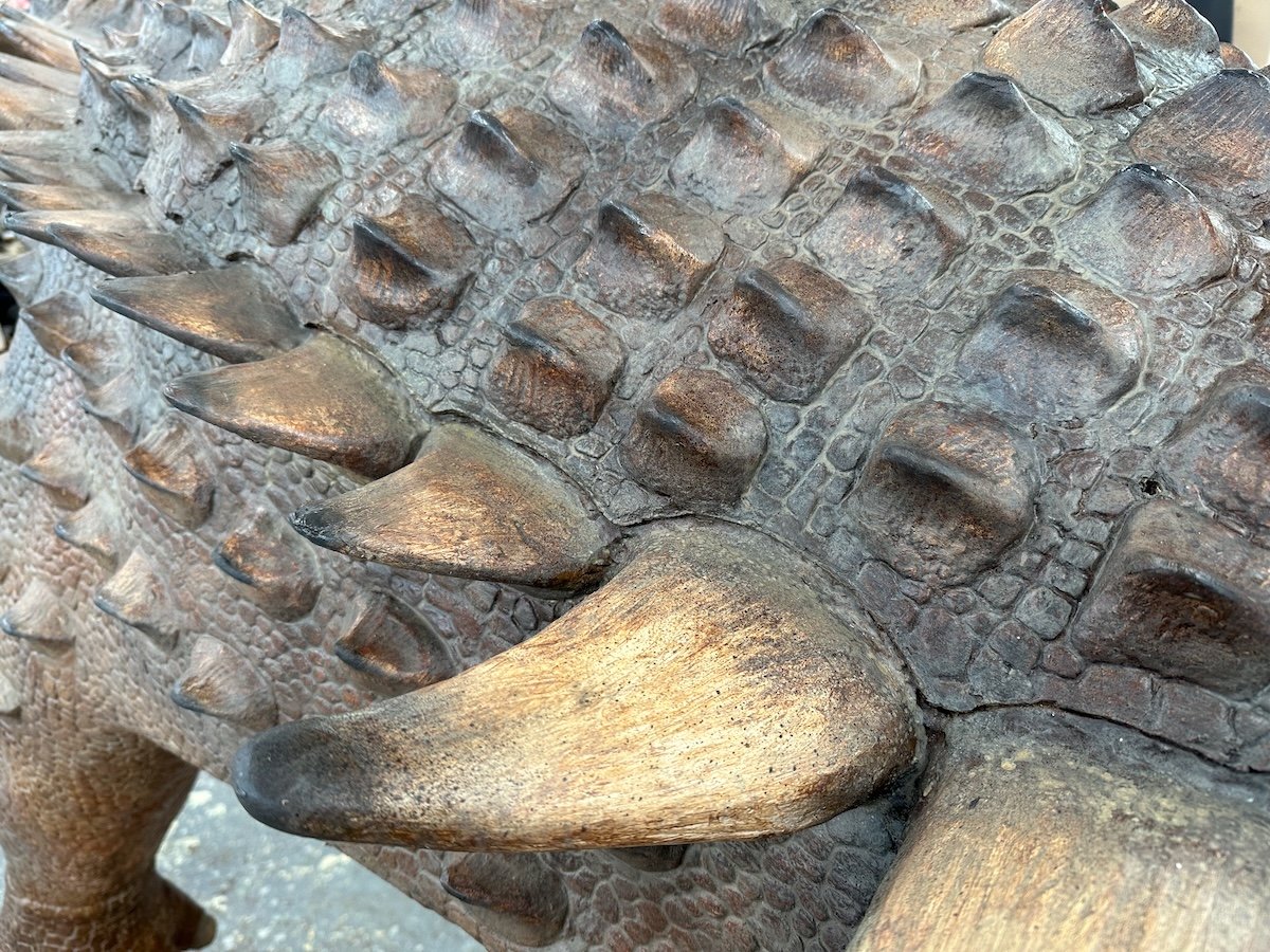 Nodosaur in workshop.jpeg