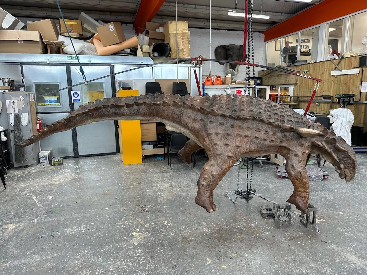 Nodosaur in workshop3.jpeg
