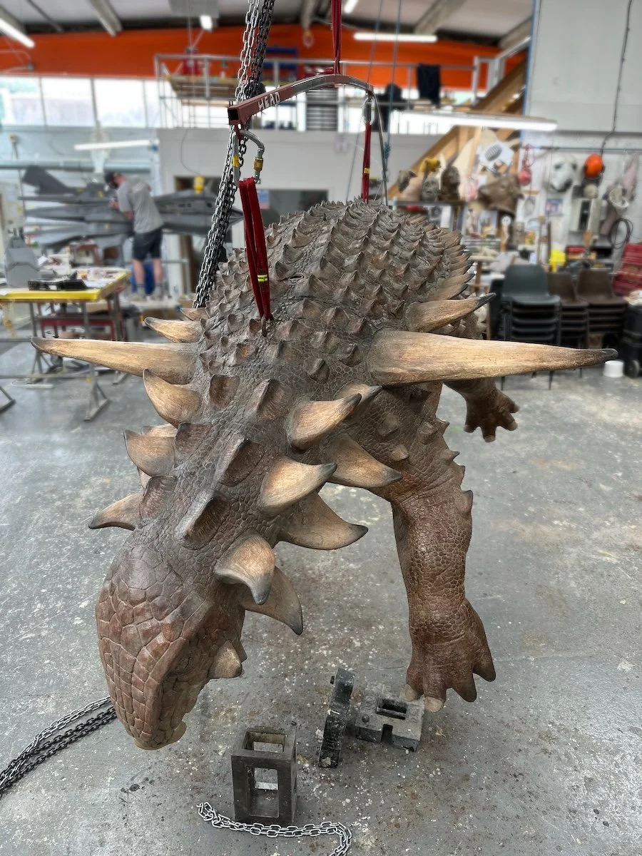 Nodosaur in workshop6.jpeg