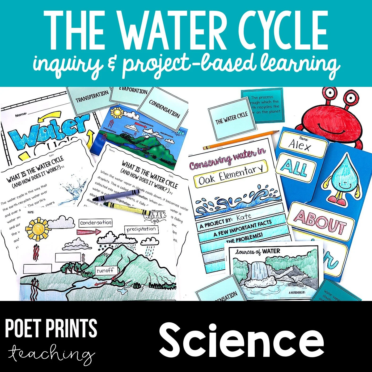 The Water Cycle and Conservation