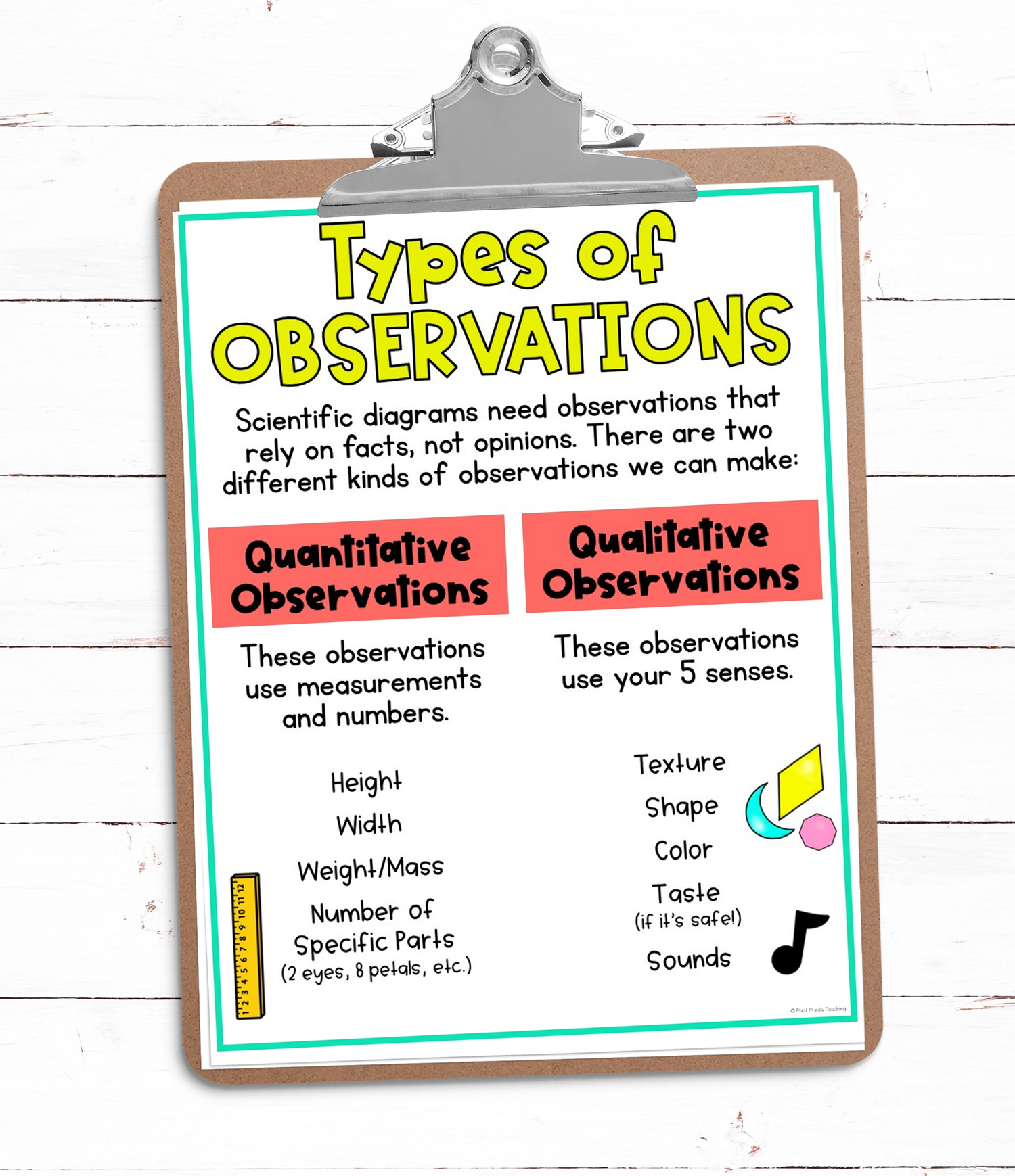 How to Label a Scientific Diagram for Kids — Poet Prints Teaching