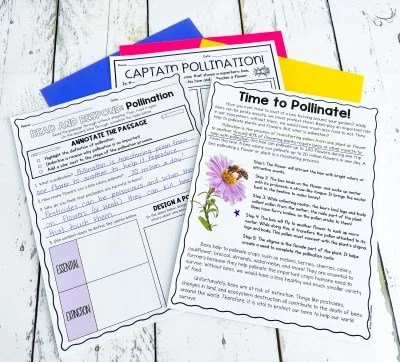 Pollination Activities for Elementary Science — Poet Prints Teaching