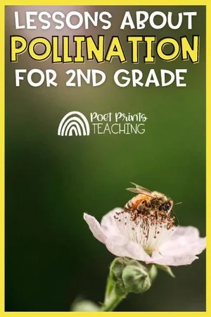 Pollination Activities for Elementary Science — Poet Prints Teaching