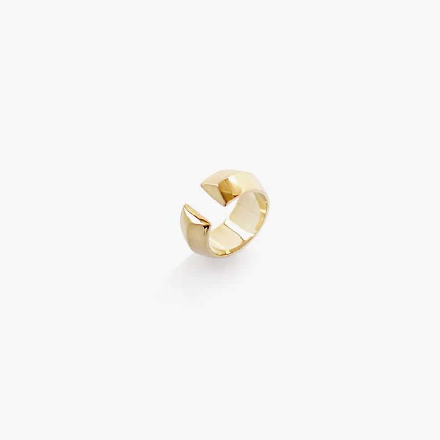 anillo isometric.jpg