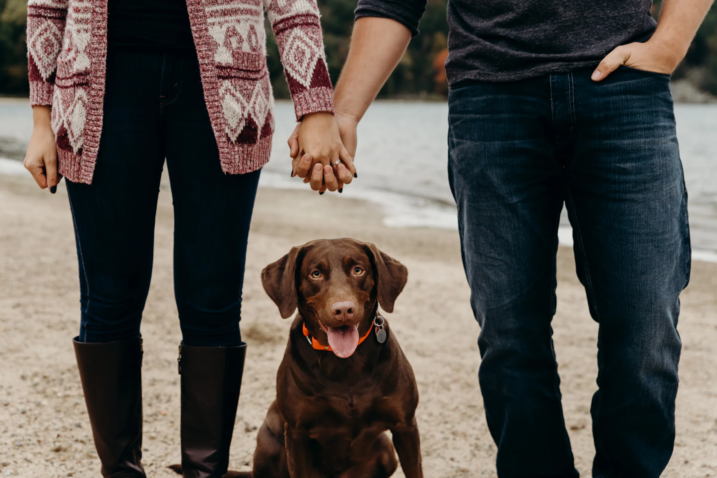 Engaged couple holds hands with their chocolate lab dog sitting in between them.