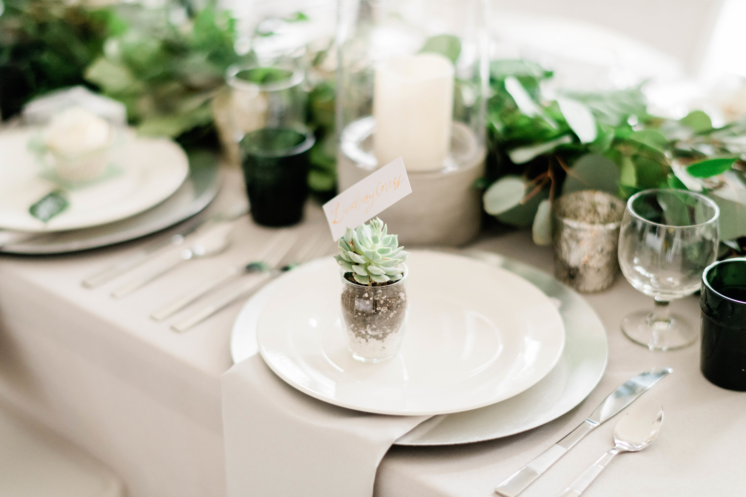 Succulent wedding favor and place card