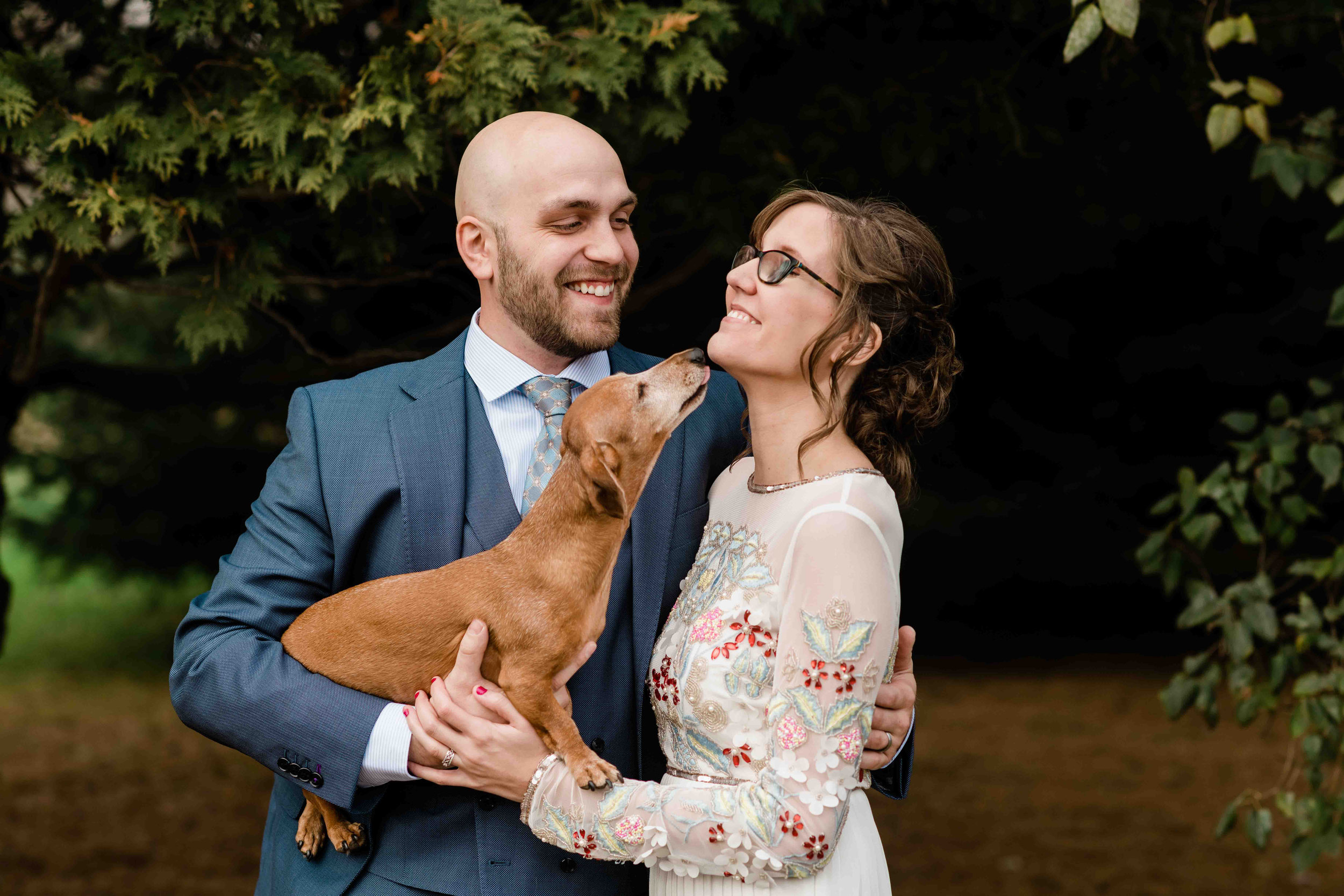 Dachshund licking bride's face