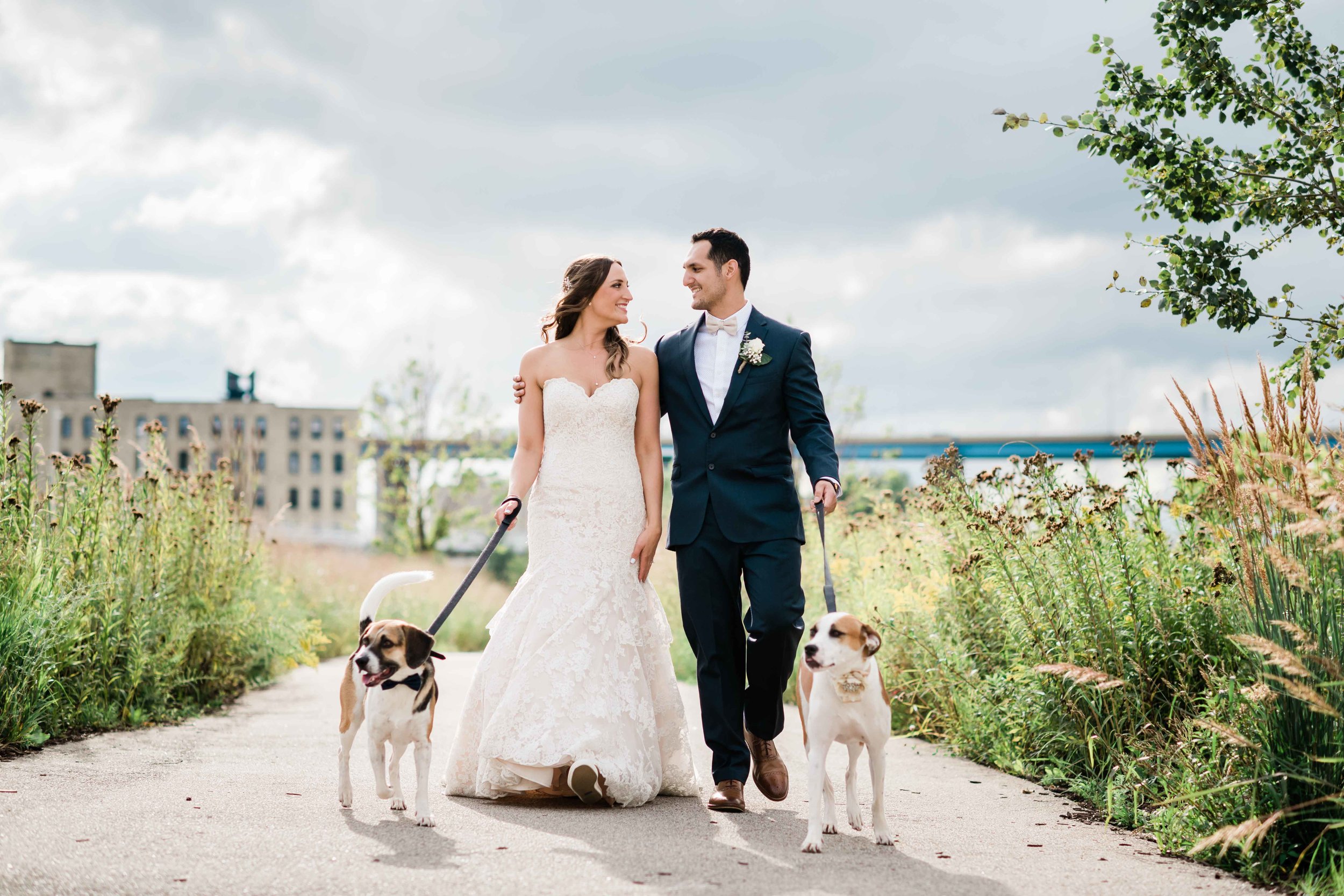 Bride and groom walk with their dogs