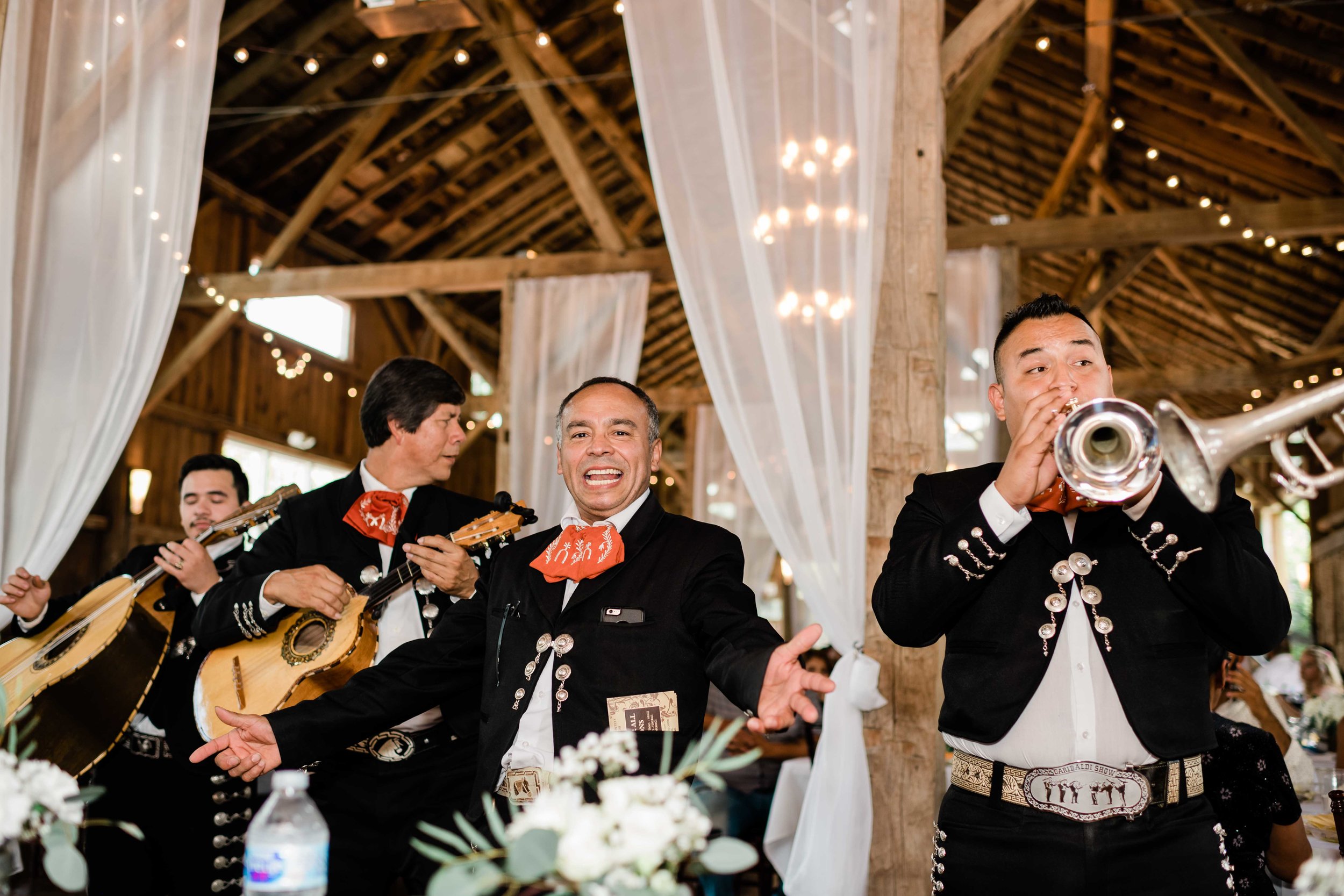 Mariachi band plays at wedding reception