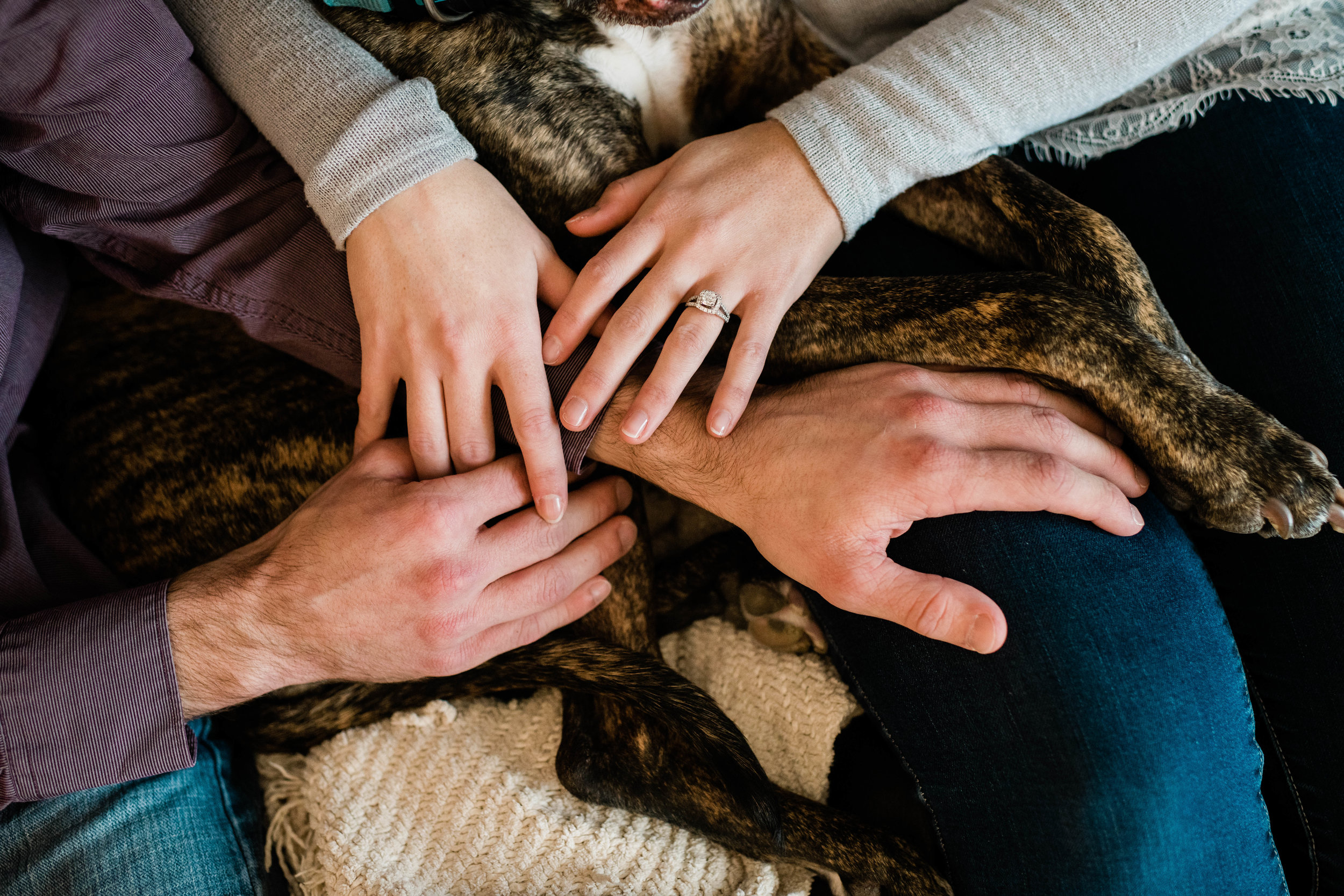 Engaged couple's hands and their dog's paws