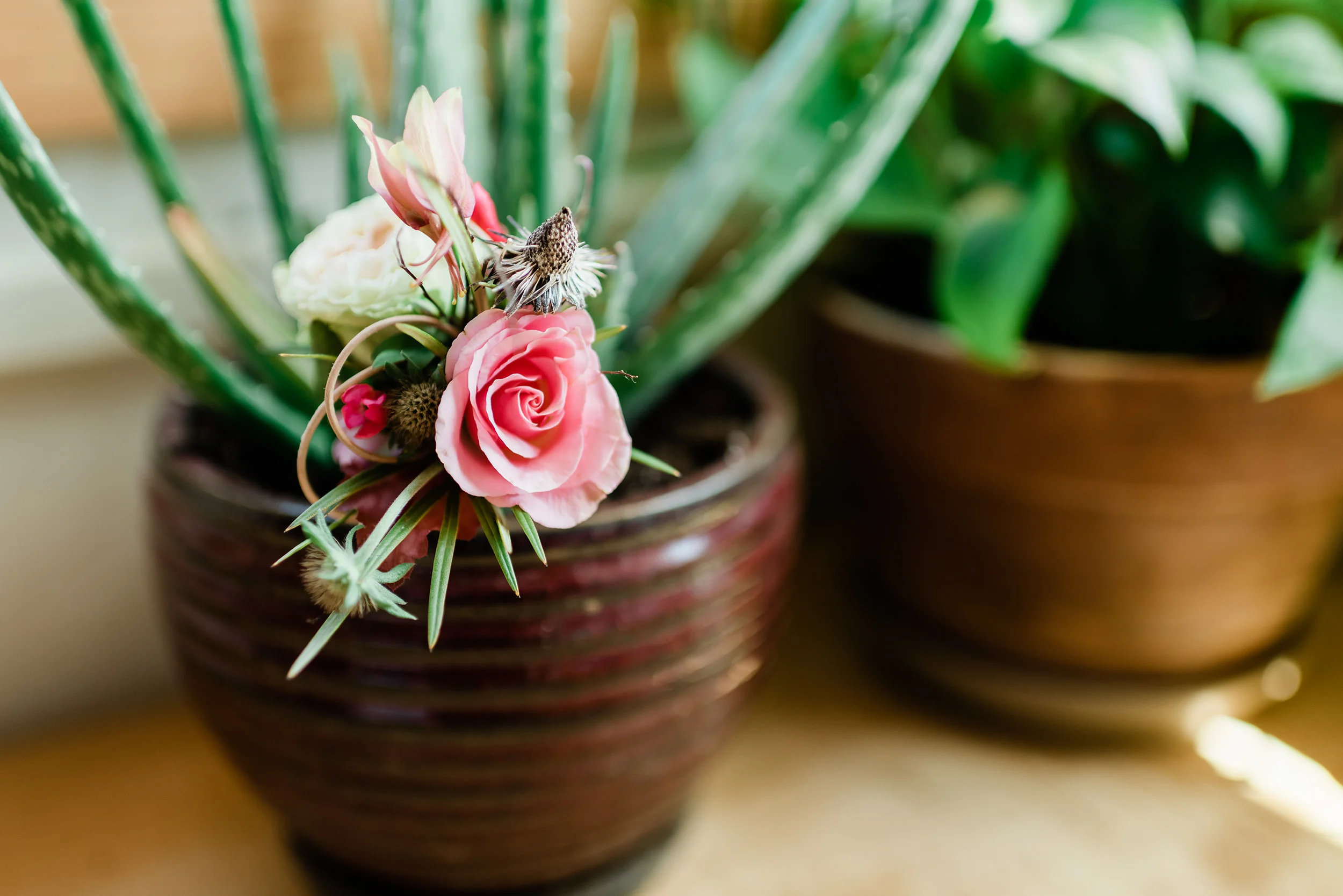 Groom's boutonnière