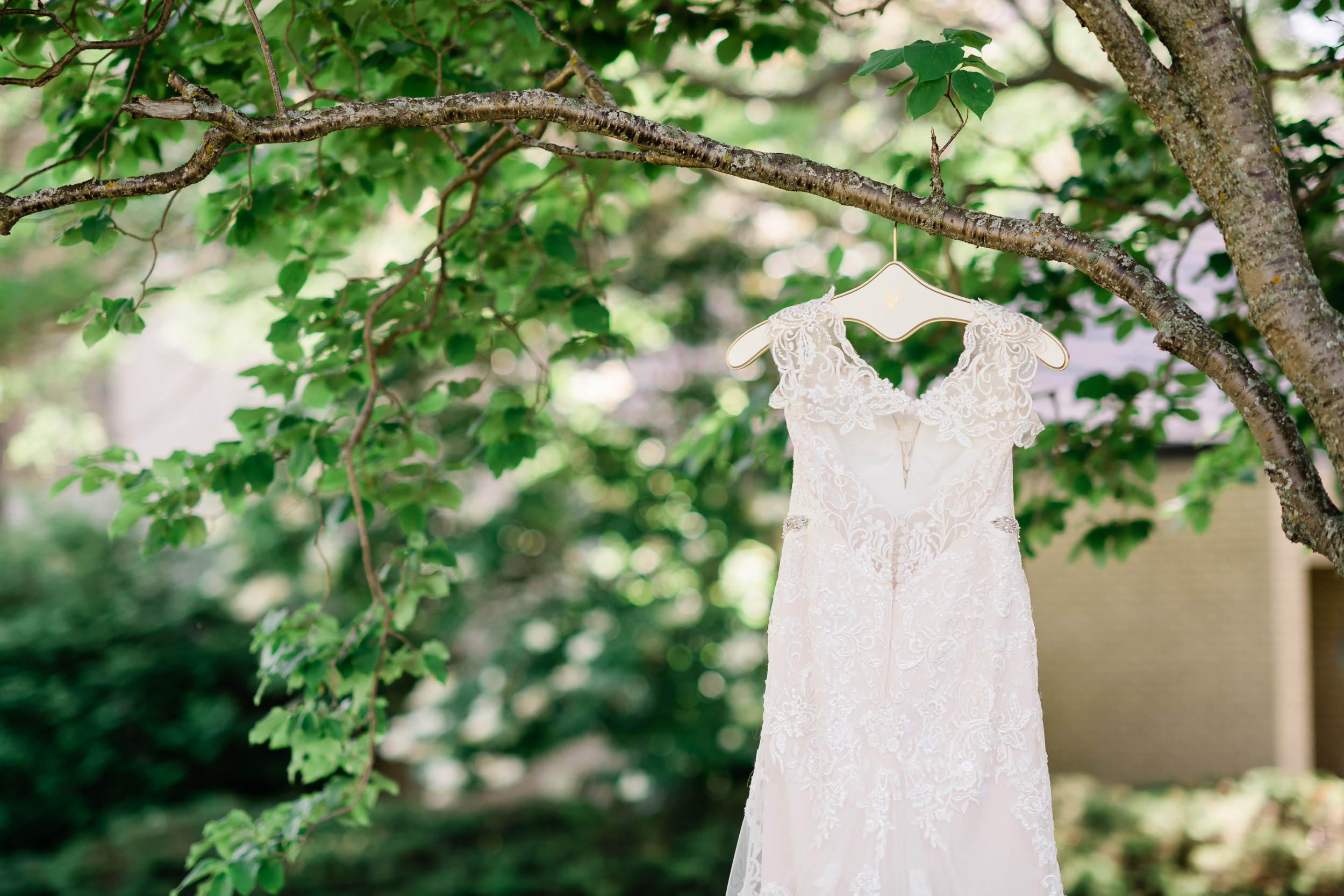 Wedding dress hanging in tree