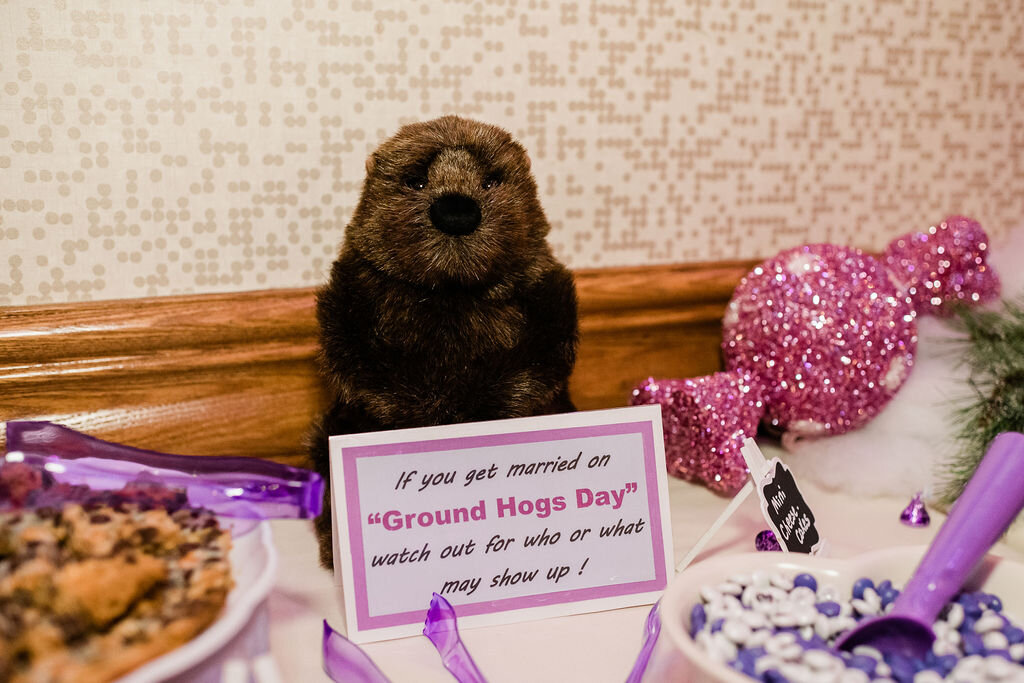 Groundhog stuffed animal and sign
