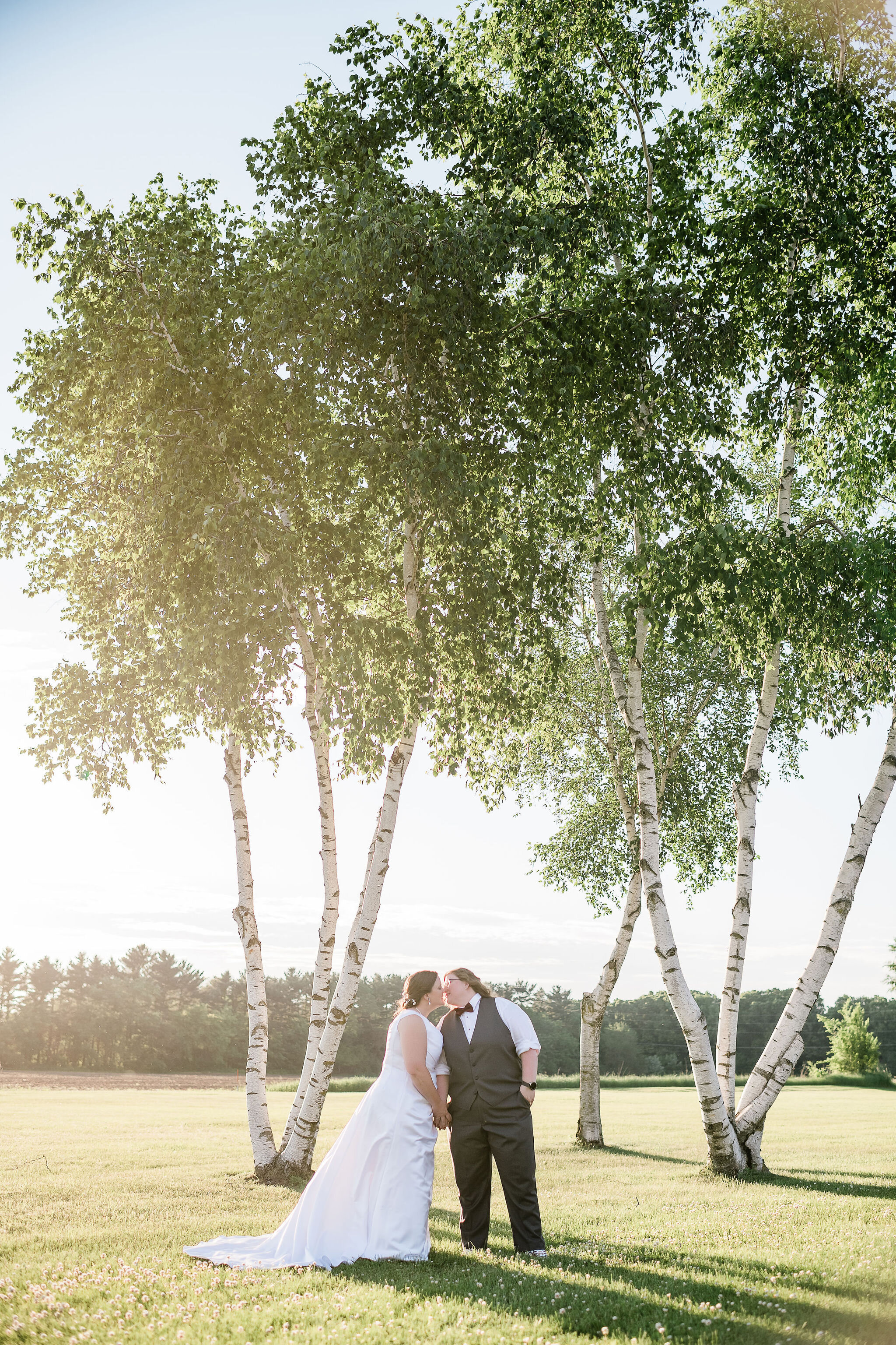 Brides underneath sunlit birch trees