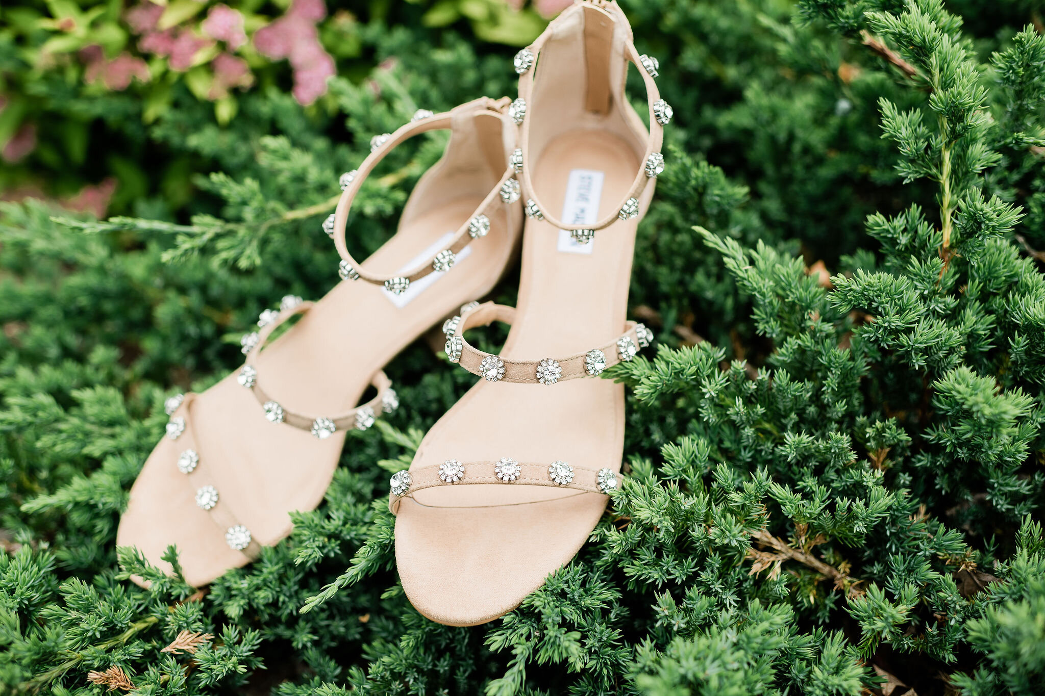 Bride's shoes in a bush