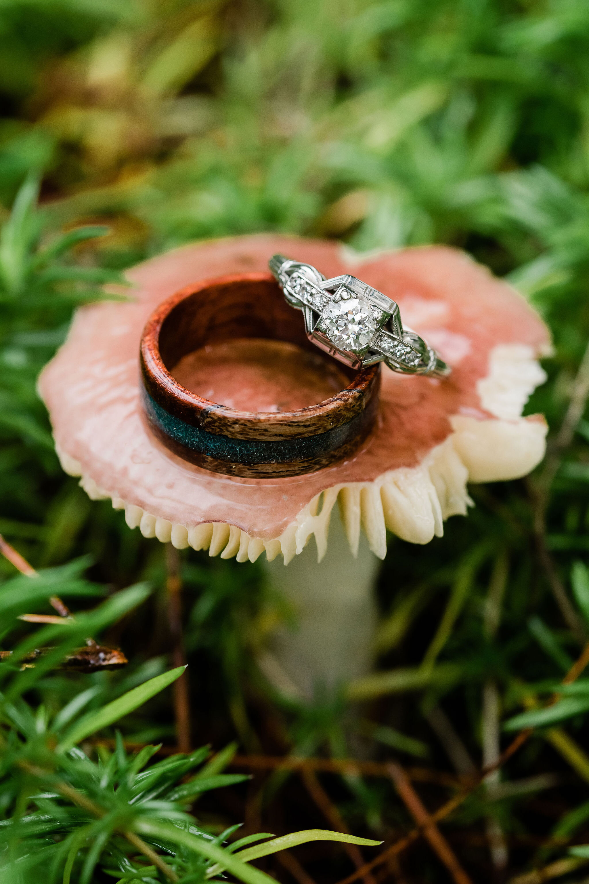 Wedding rings on a mushroom