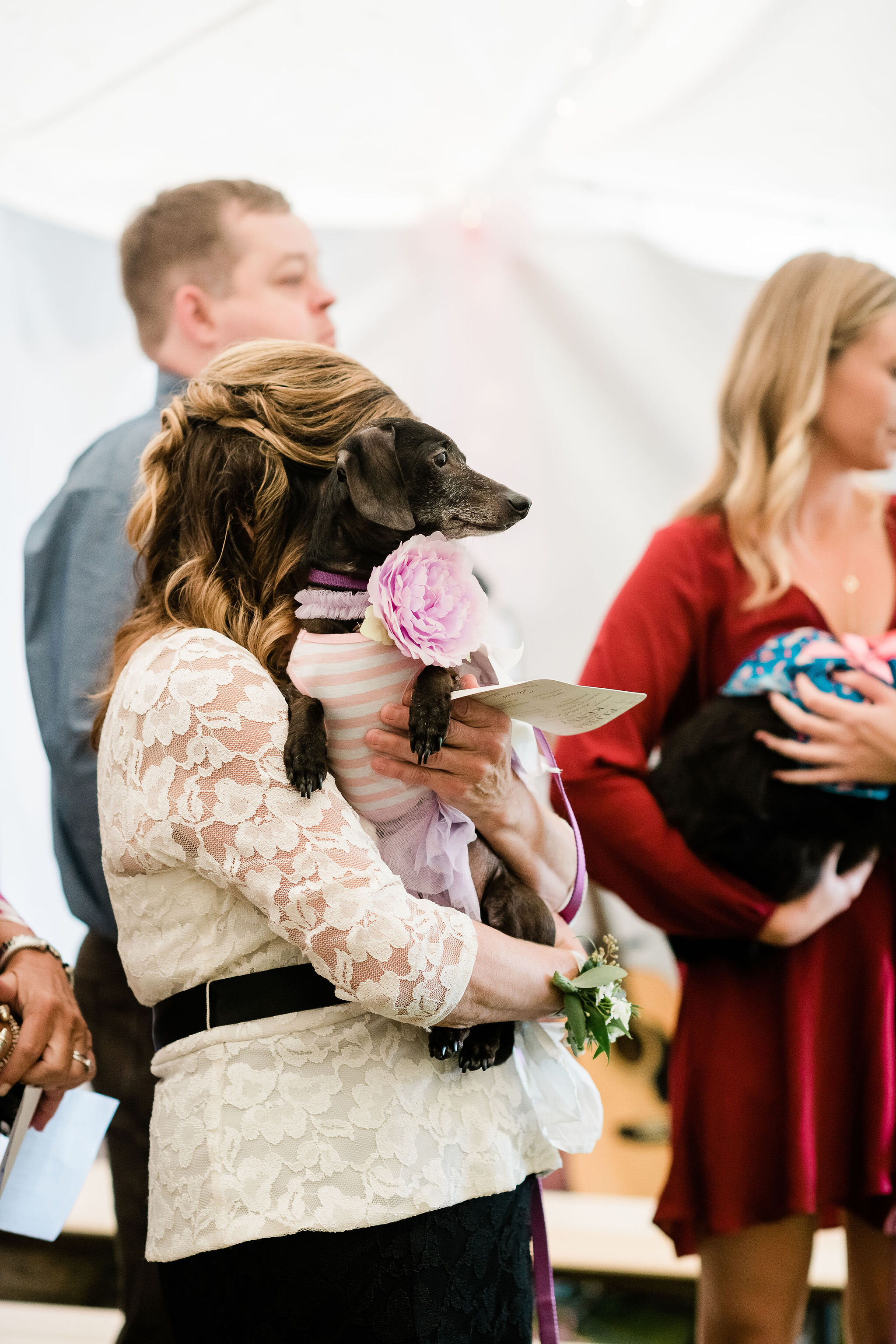 Wedding guest holding a dog