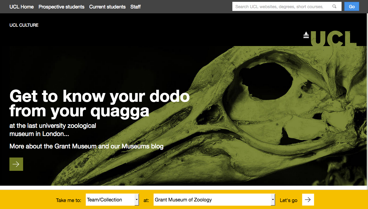 Digital: UCL Culture website
