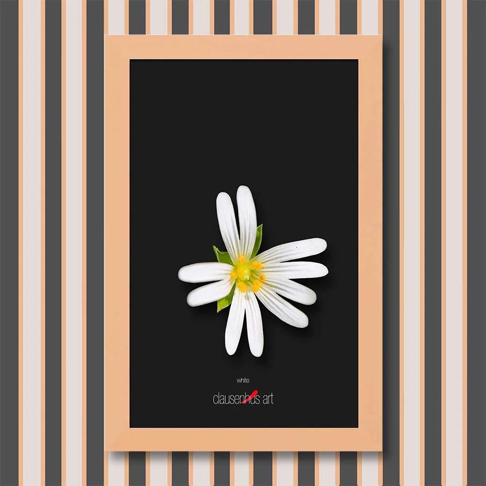 white-copy.jpg