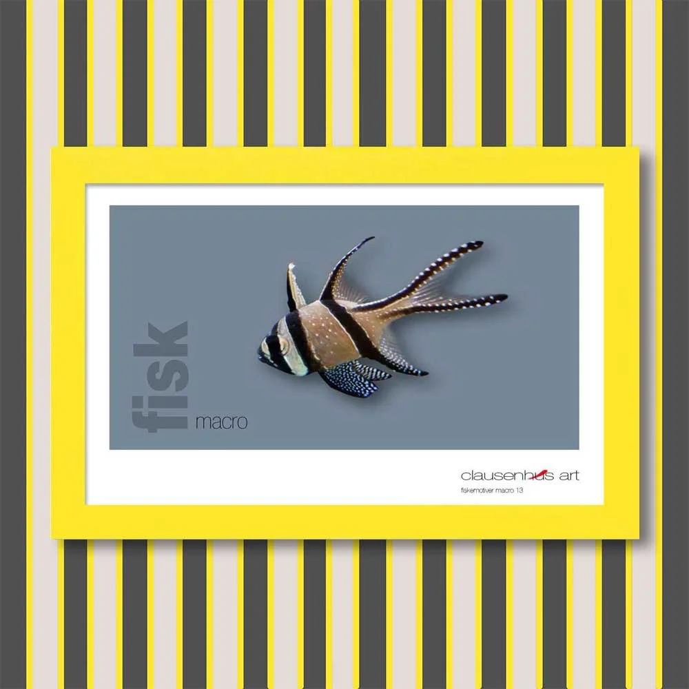 fiskemotiv-13-copy.jpg