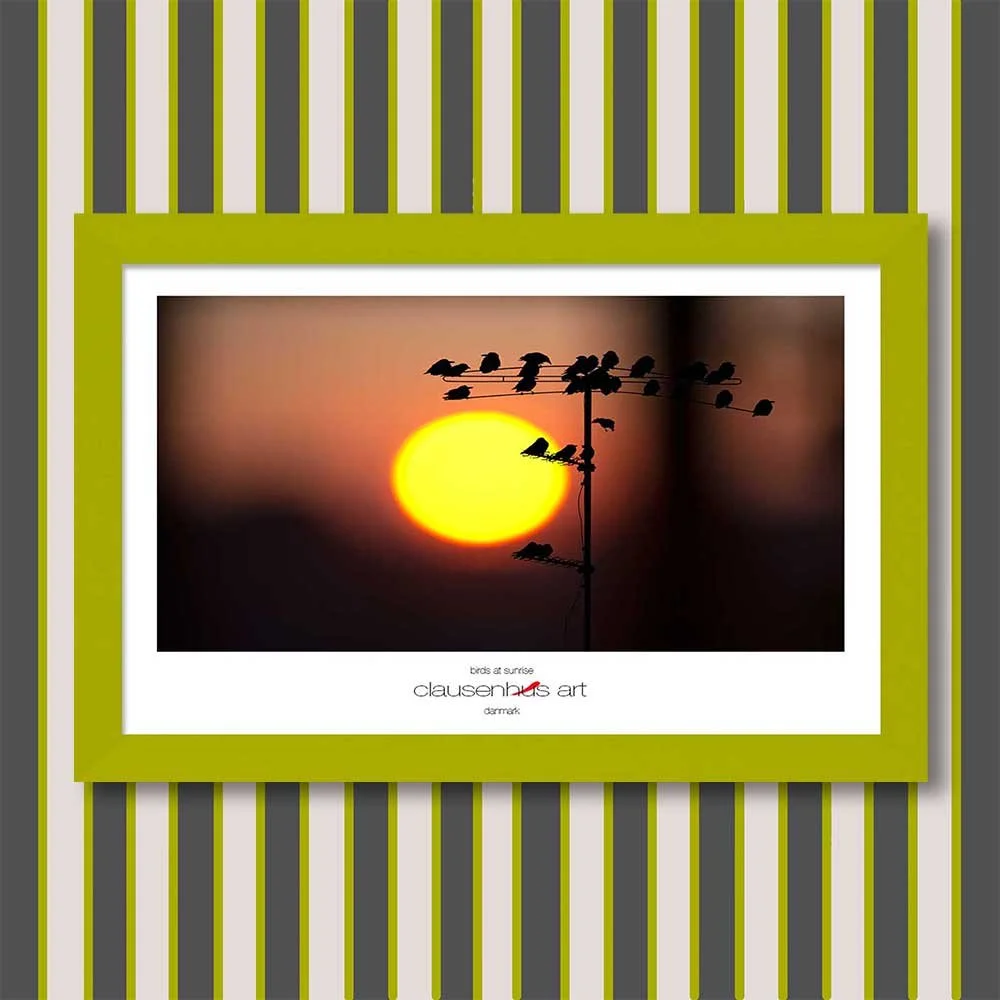 birds-at-sunrise-copy.jpg