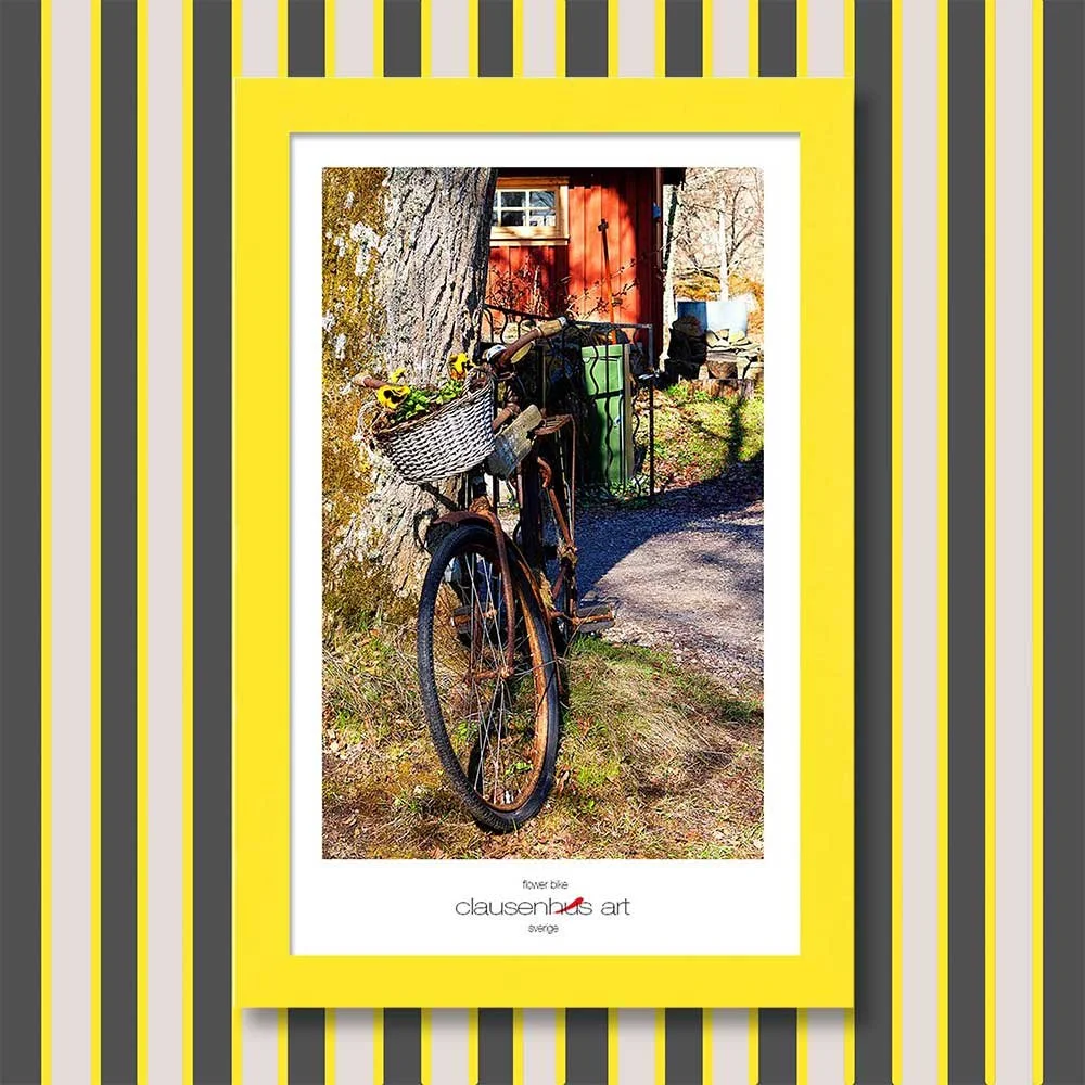 flower-bike-copy.jpg