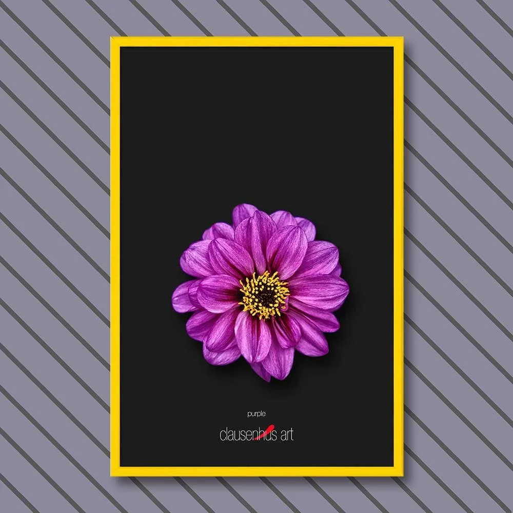 purple-copy.jpg