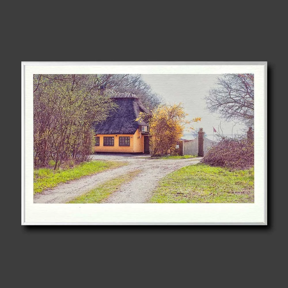 et-sted-i-skoven-copy.jpg