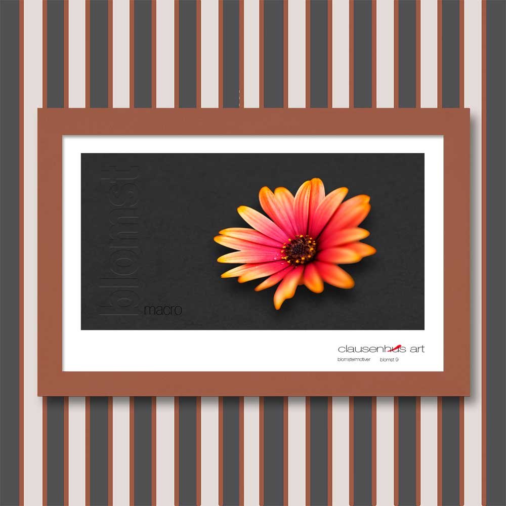 blomst-9.jpg