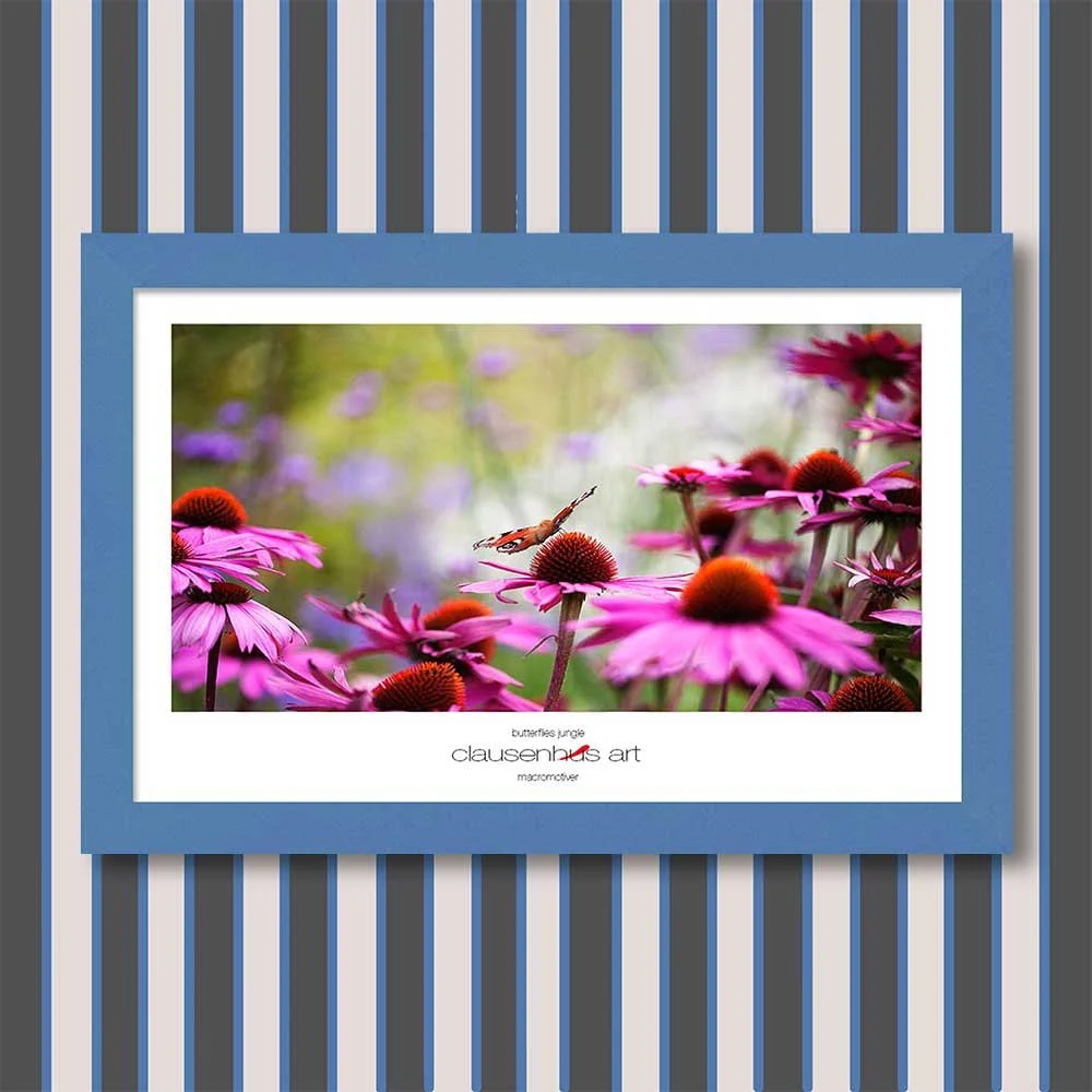 butterflies-jungle-copy.jpg