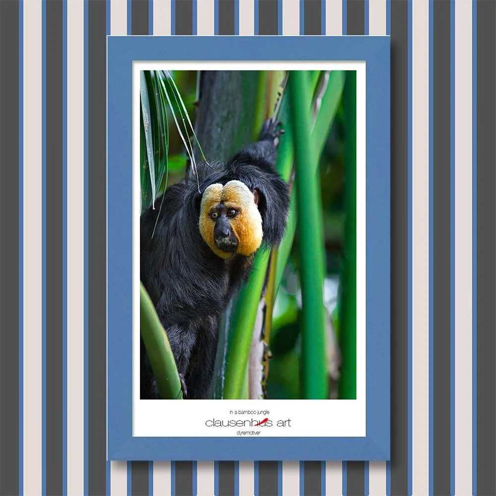in-a-bamboo-jungle-copy.jpg