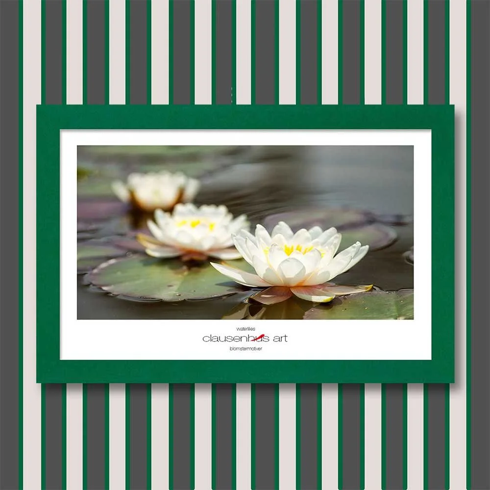 waterlilies-copy.jpg