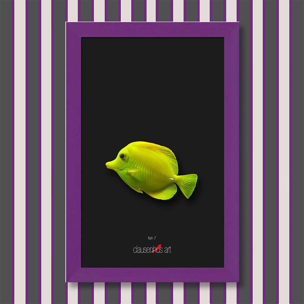 fish-7-copy.jpg