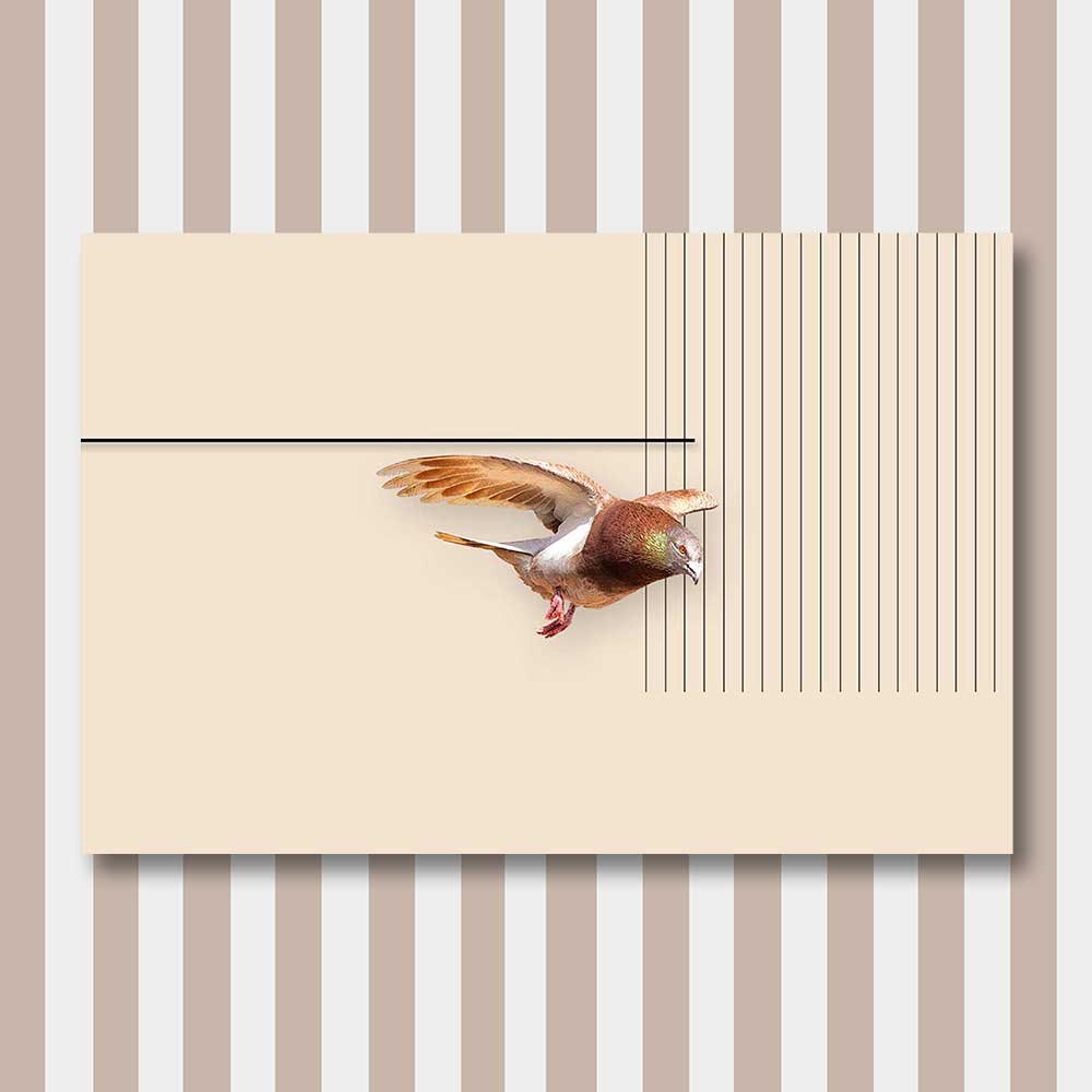 bird 9.jpg