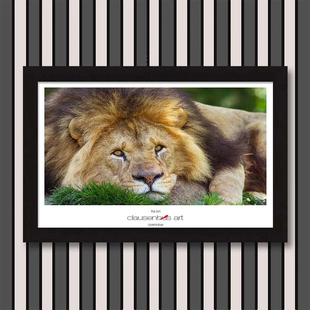 the-lion.jpg