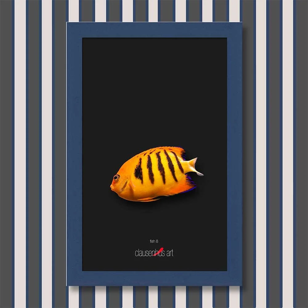 fish-8-copy.jpg