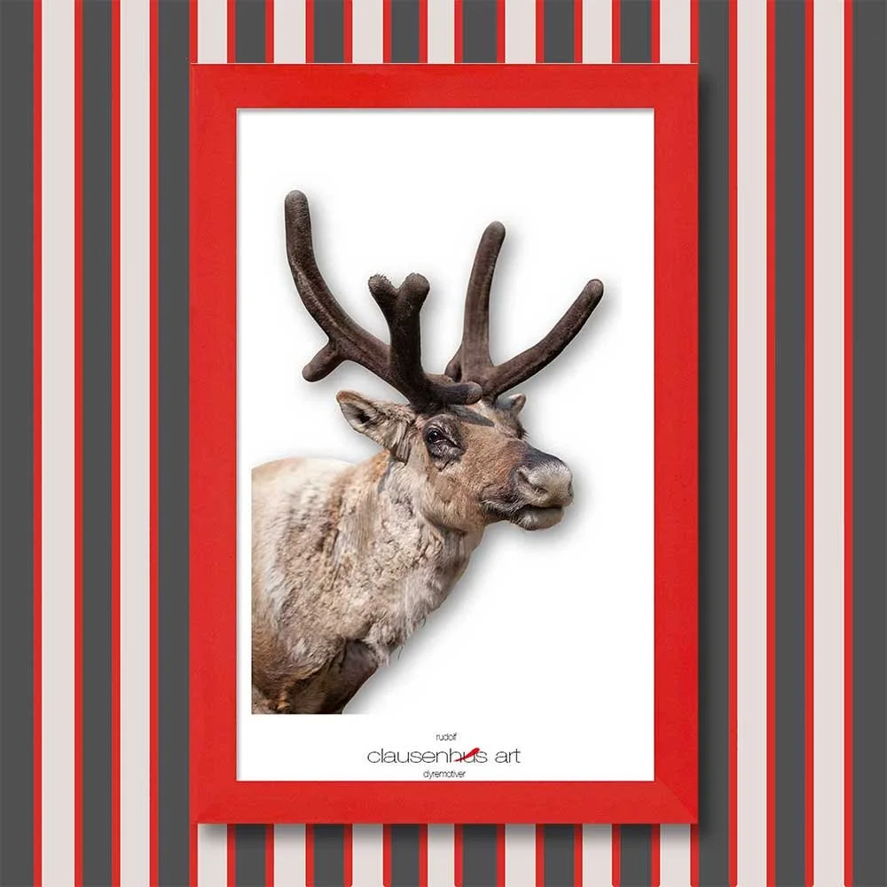 rudolf.jpg