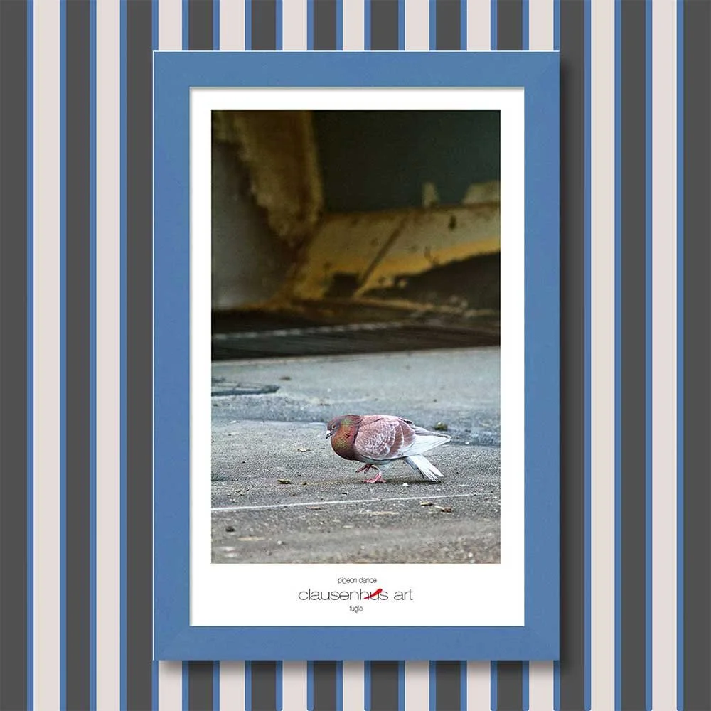 pigeon-dance-copy.jpg