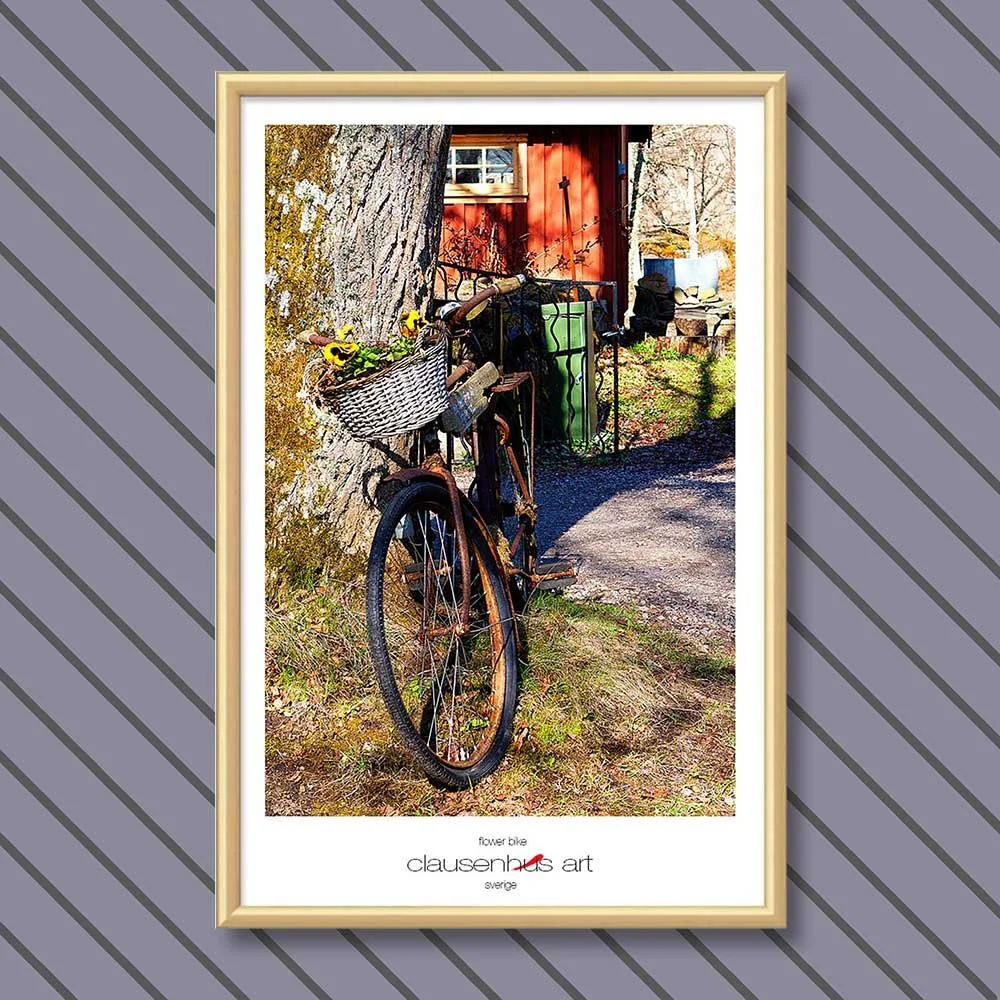 flower-bike-copy.jpg