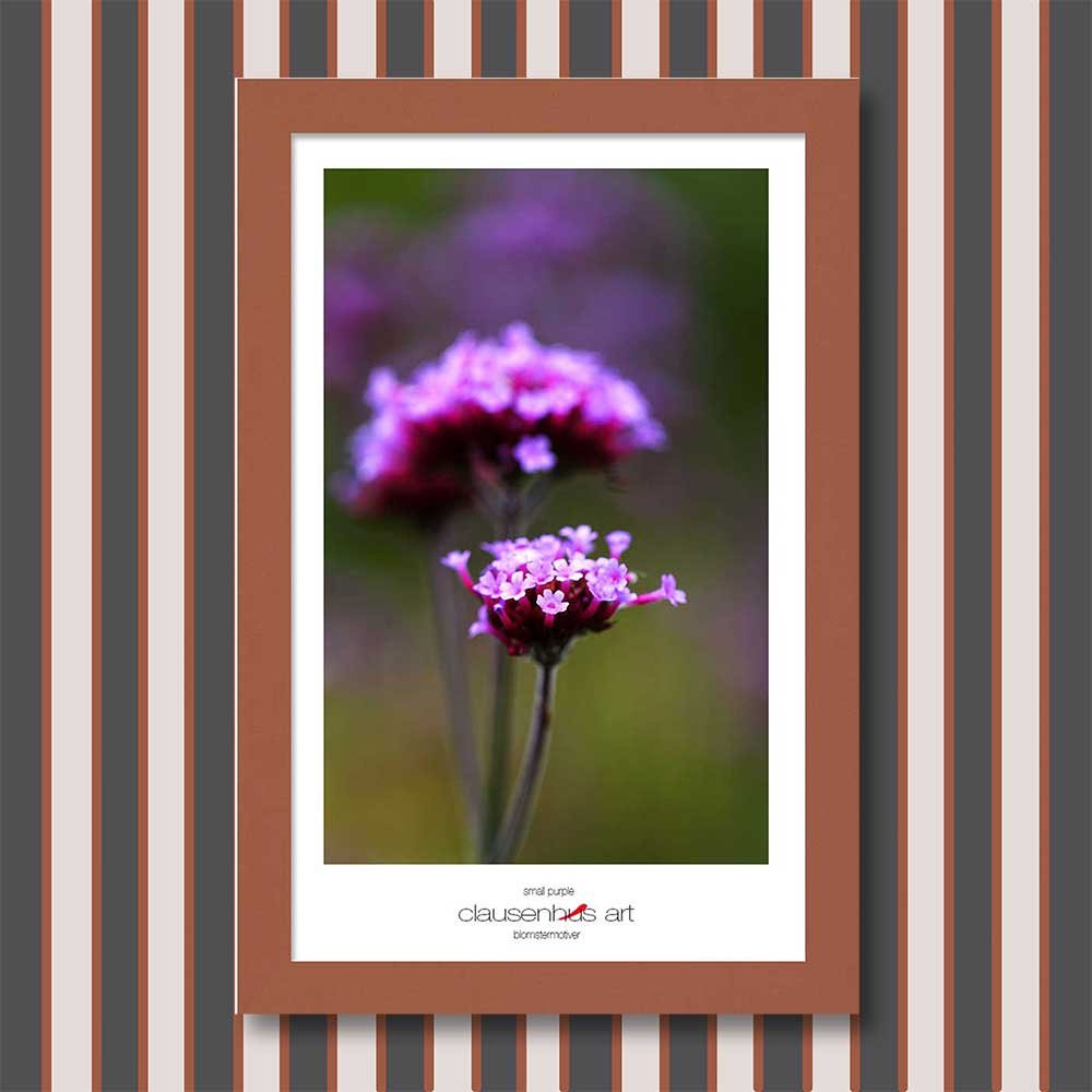 small-purple-copy.jpg